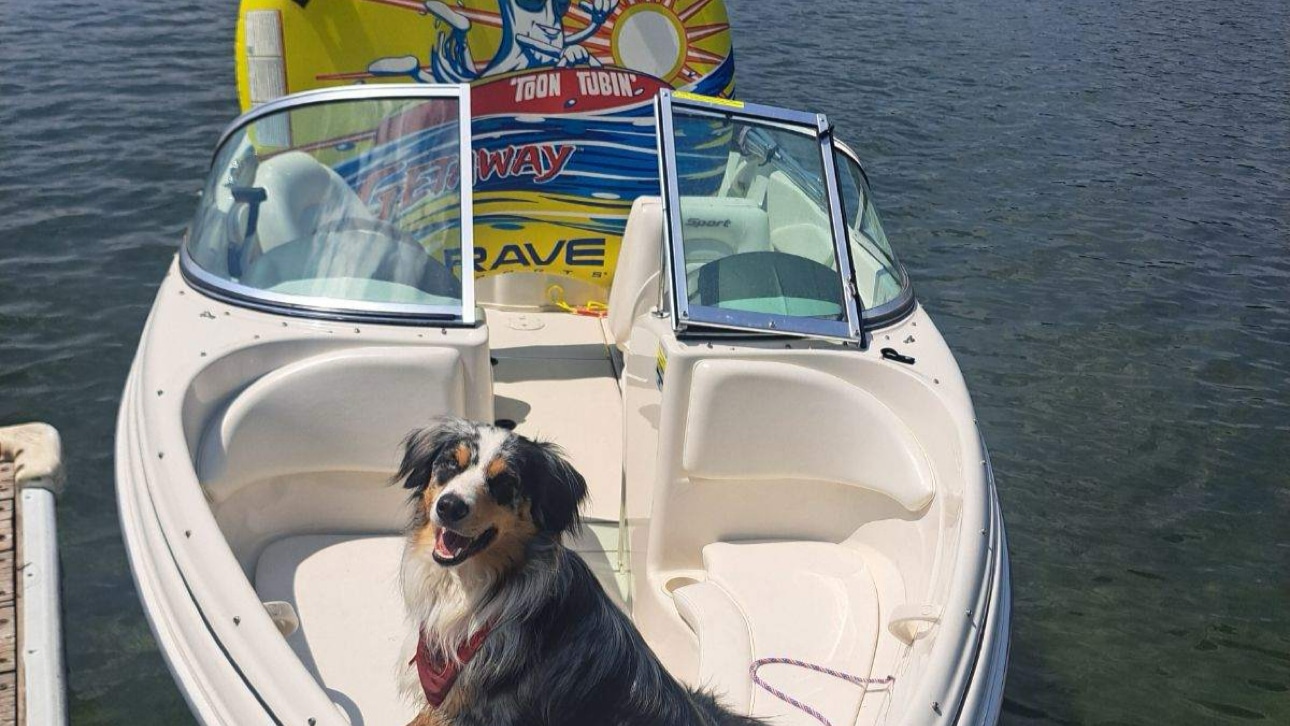 Park Rapids Boat Rental - ,