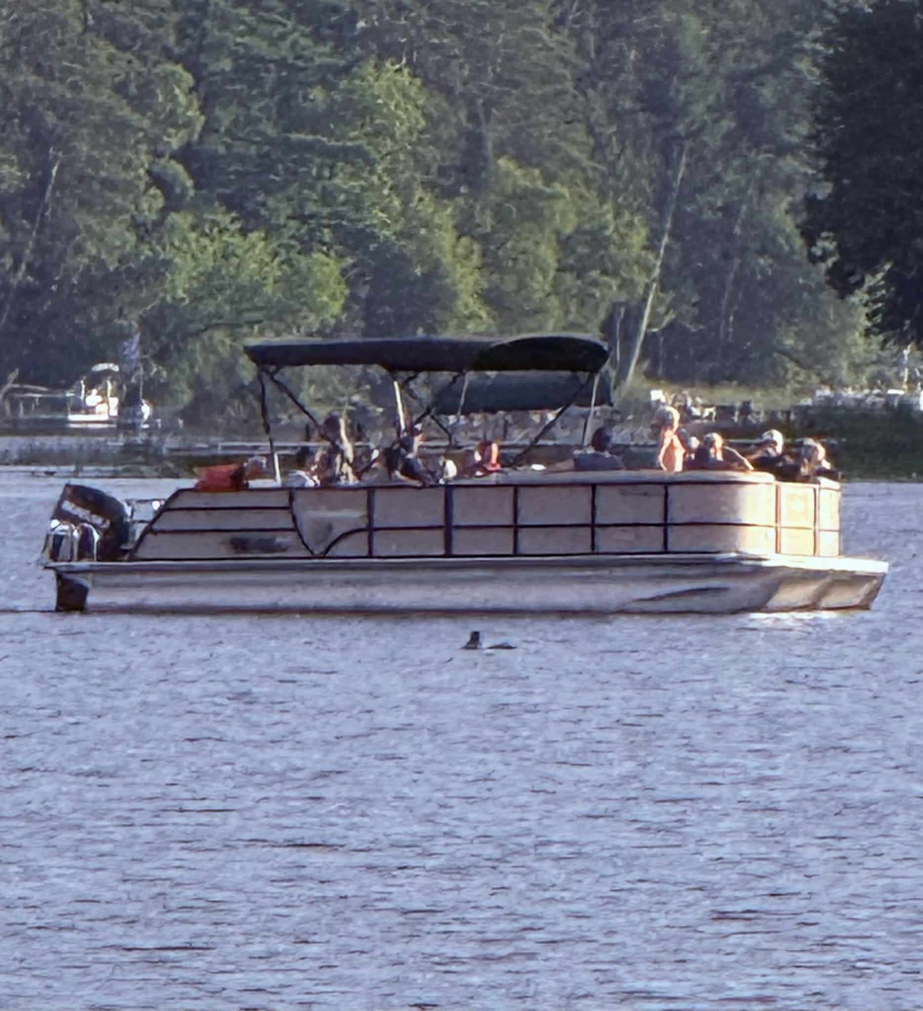 Park Rapids Boat Rental - ,