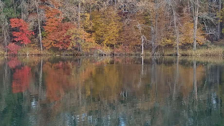 Long Lake Public Access - Park Rapids, MN