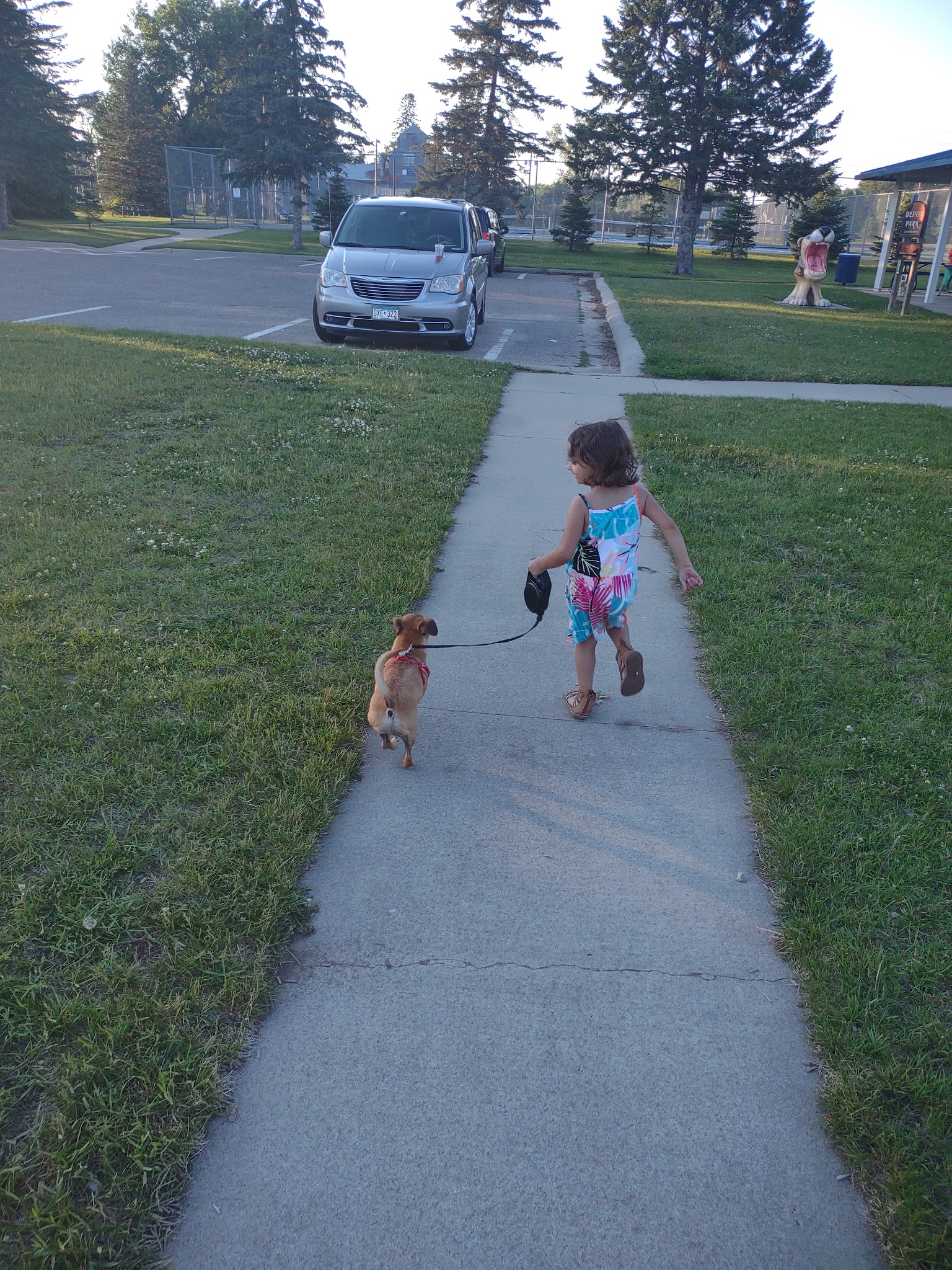 Skatepark - Park Rapids, MN