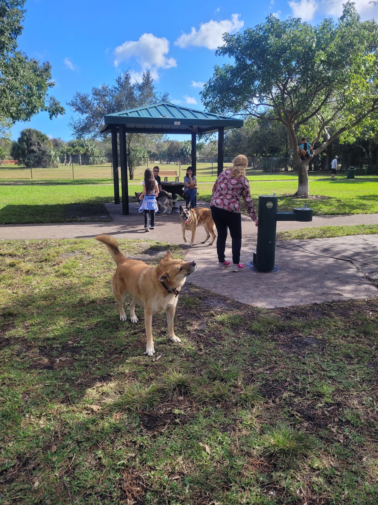 Barkland Dog Park - Parkland, FL