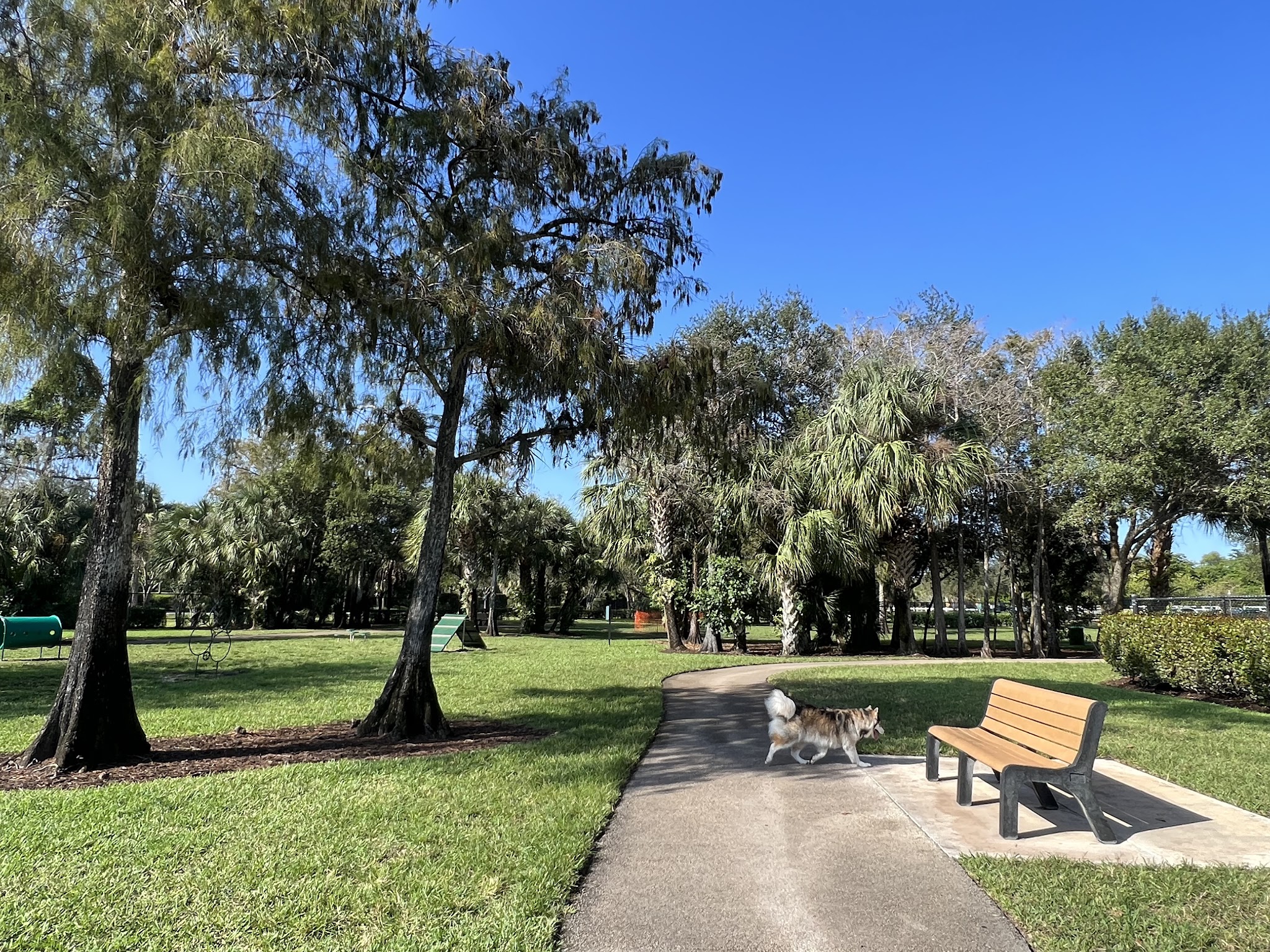 Barkland Dog Park - Parkland, FL