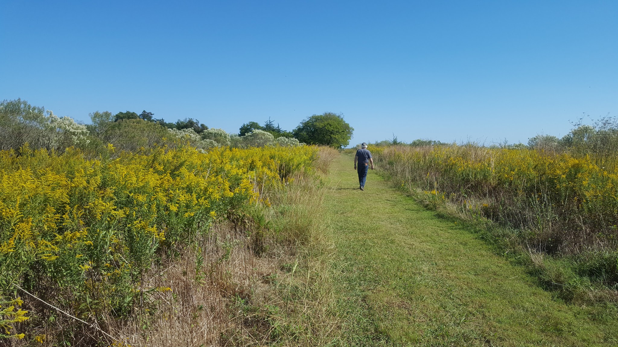 Mutton Hunk Fen Natural Area Preserve - Parksley, VA