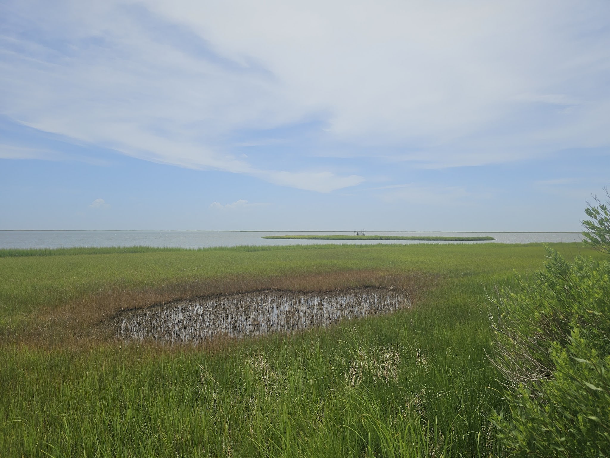 Mutton Hunk Fen Natural Area Preserve - Parksley, VA