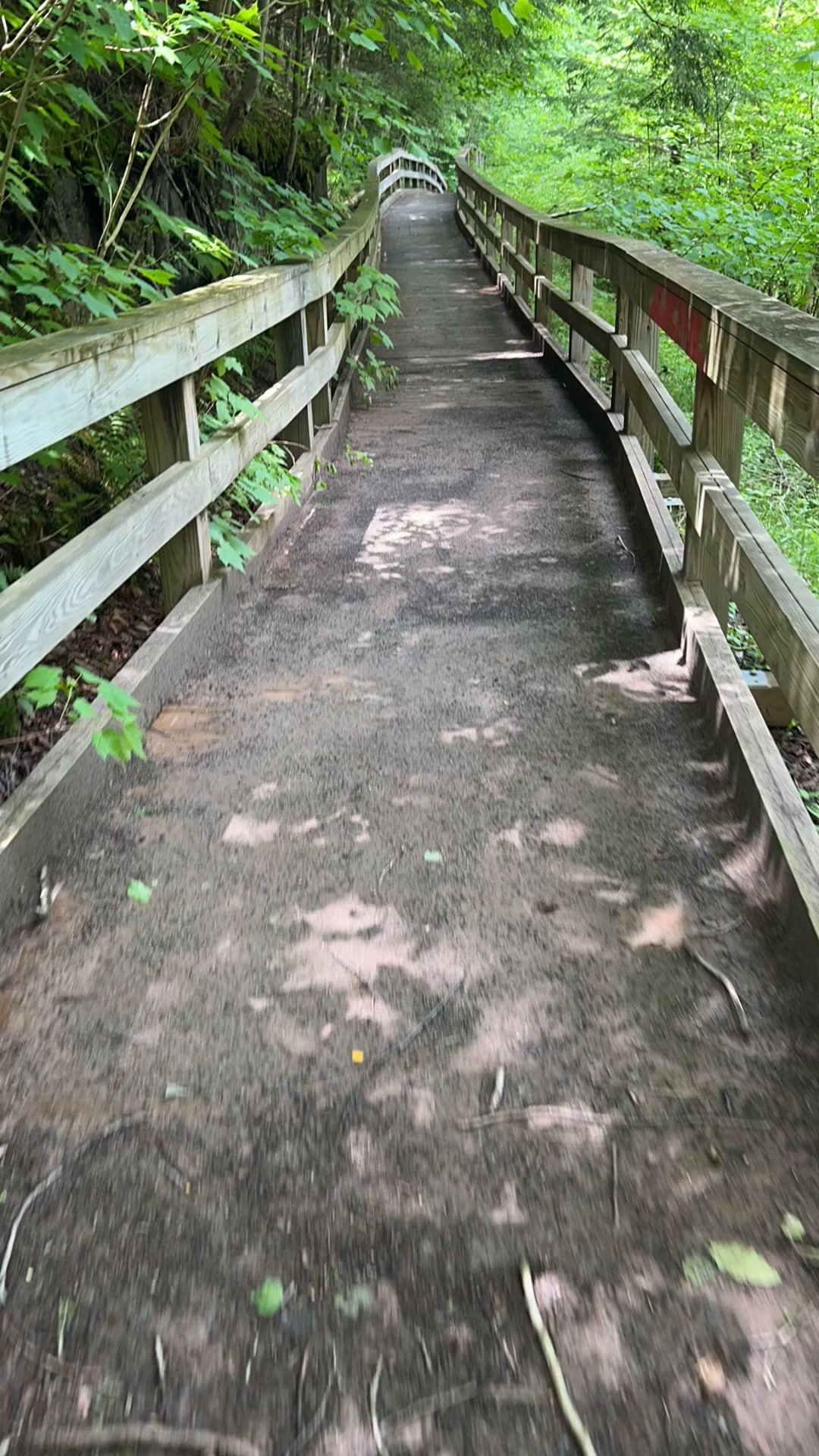 Parksville Rail Trailhead A - Parksville, NY