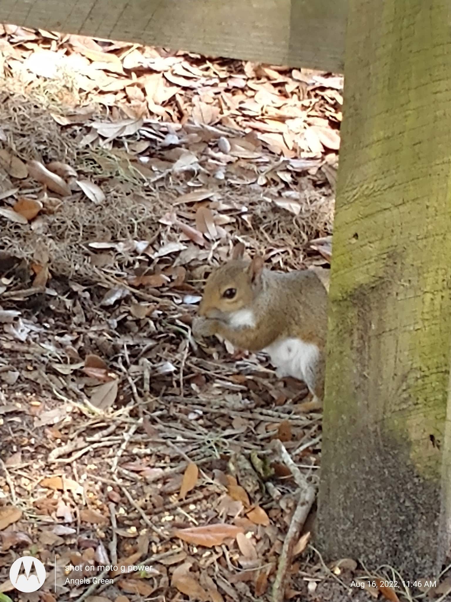 Ola Mae Sims Park - Parrish, FL