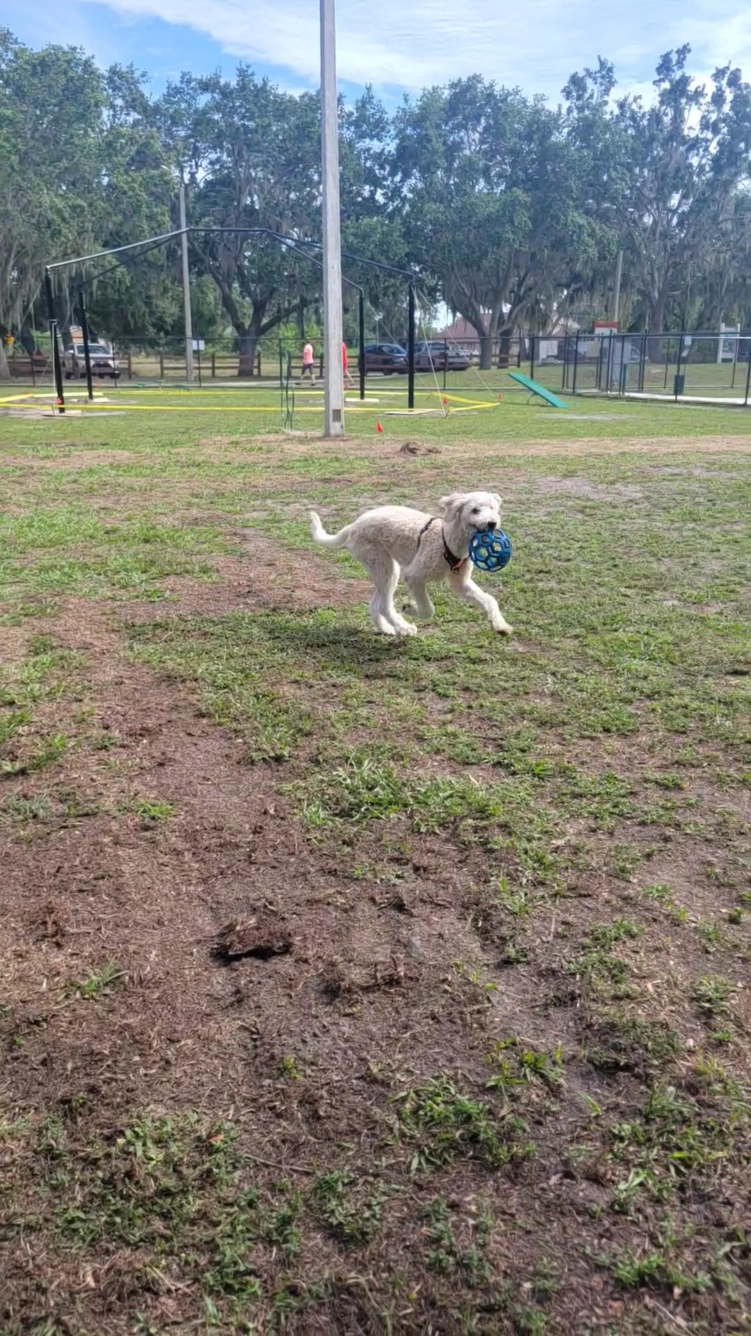 Ola Mae Sims Park - Parrish, FL