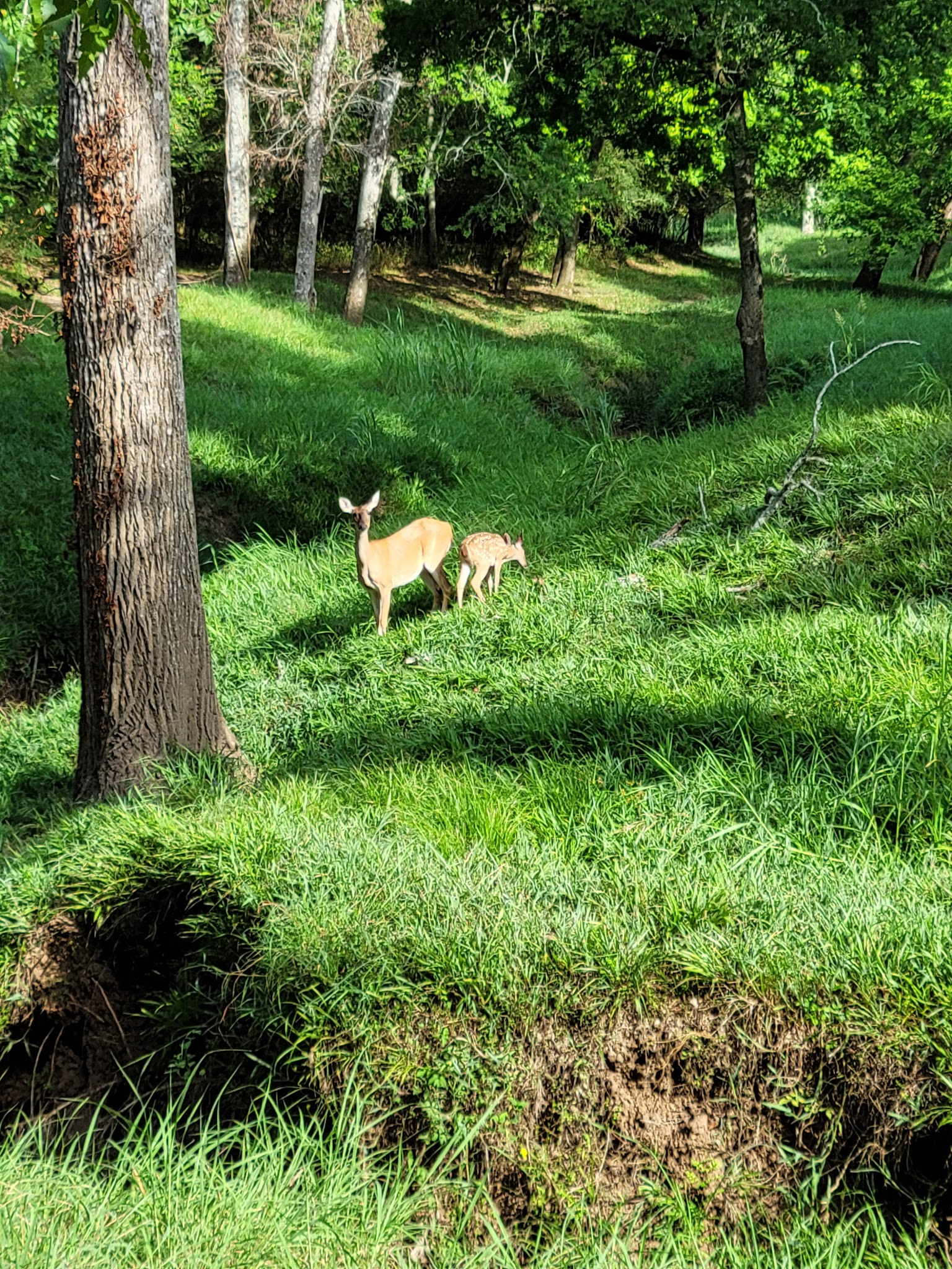 Holly Bay Park - Pasadena, TX