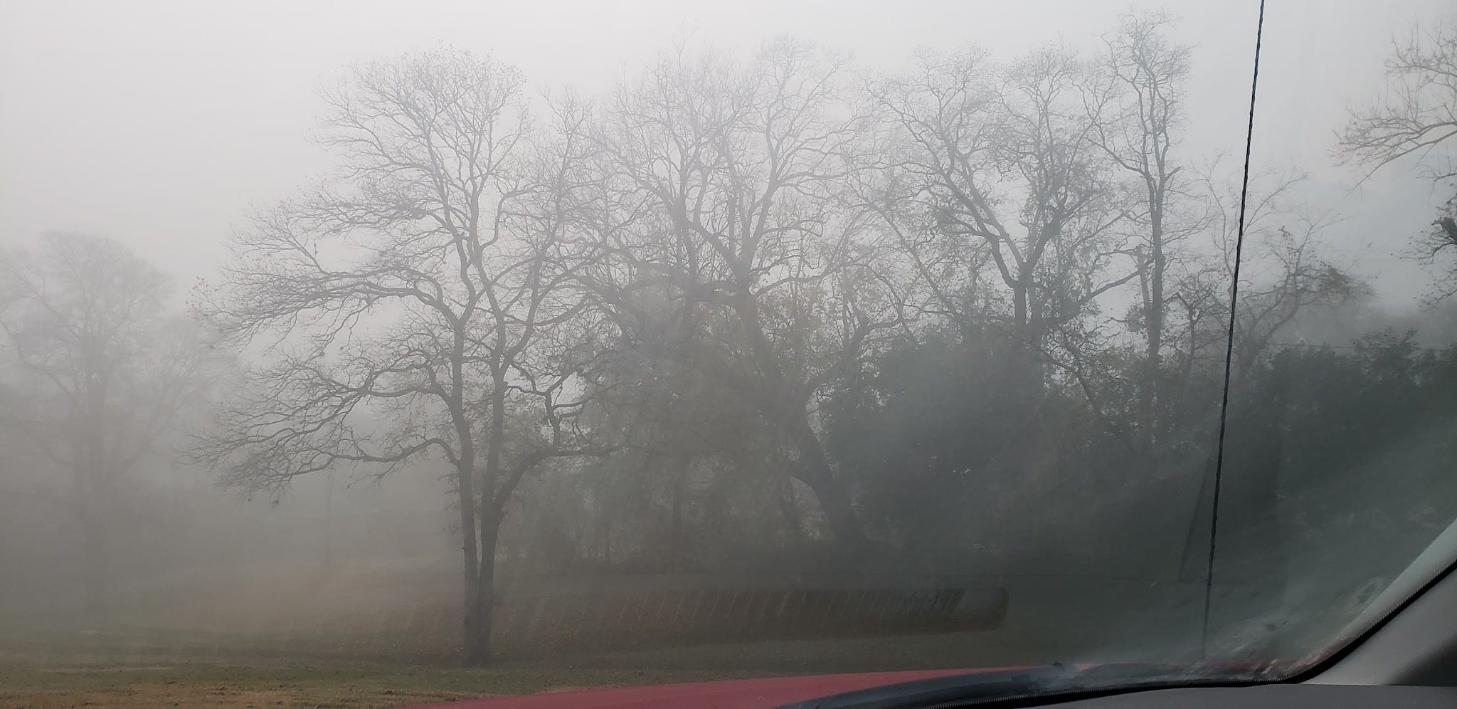 Parklane Park - Pasadena, TX