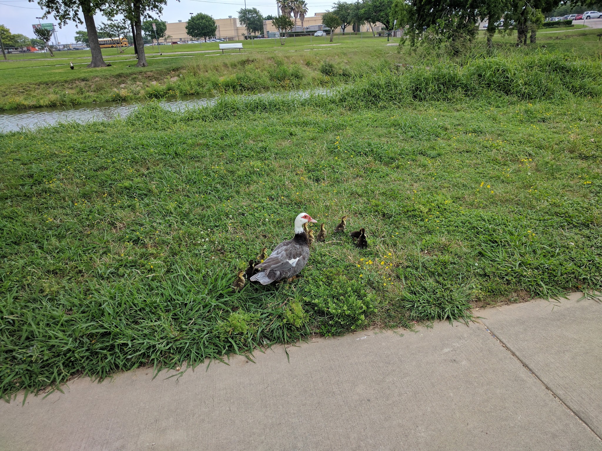 Parklane Park - Pasadena, TX