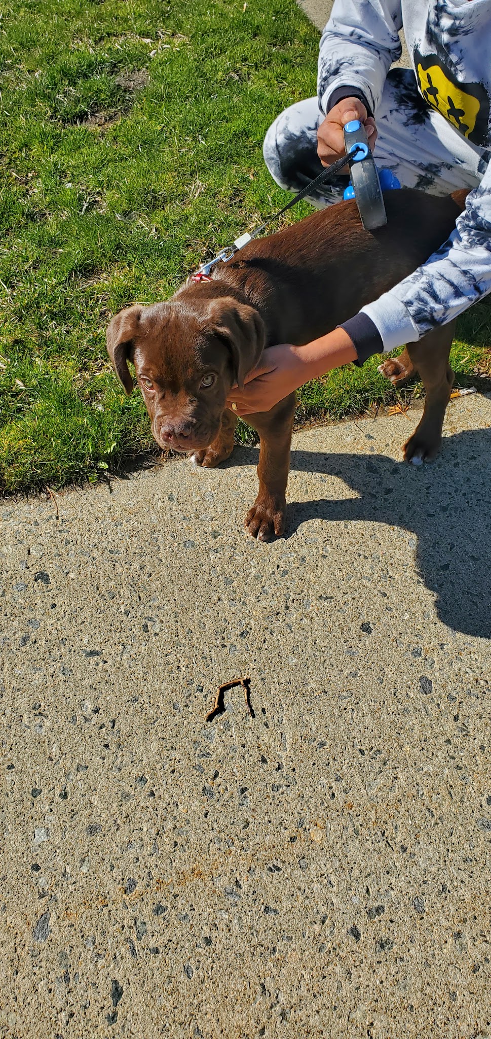 Dog Park - Paterson, NJ