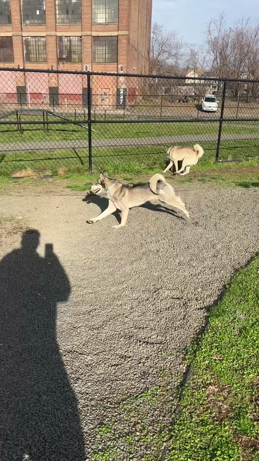 Dog Park - Paterson, NJ