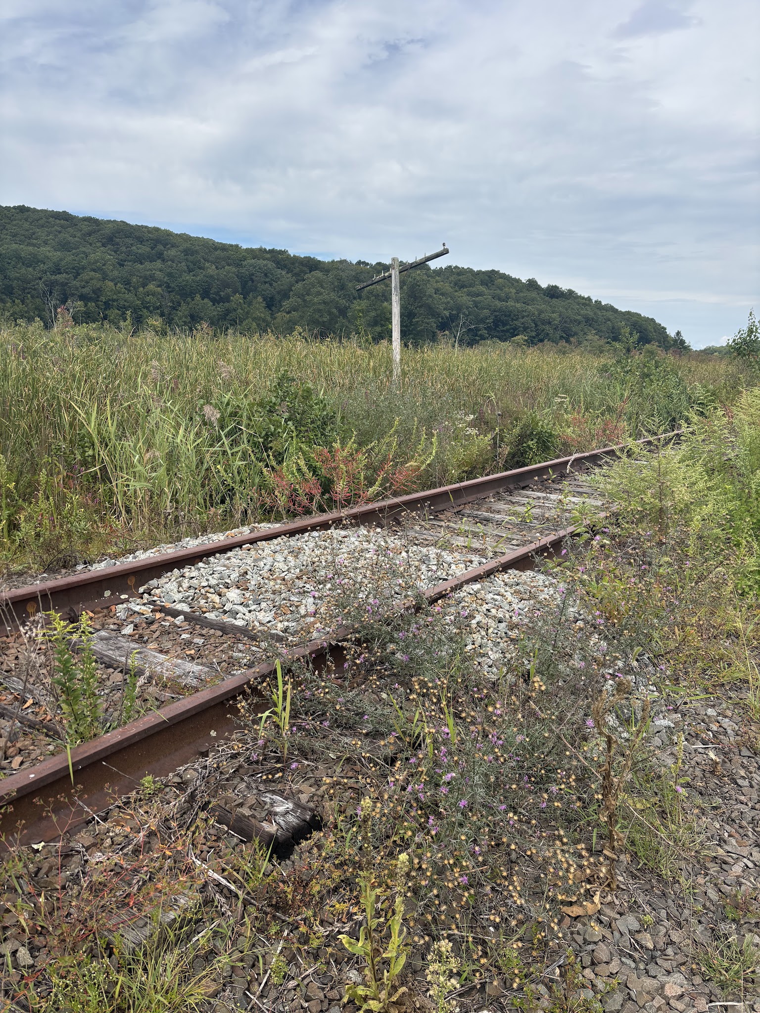 Empire State Trail - Towners Access - Patterson, NY