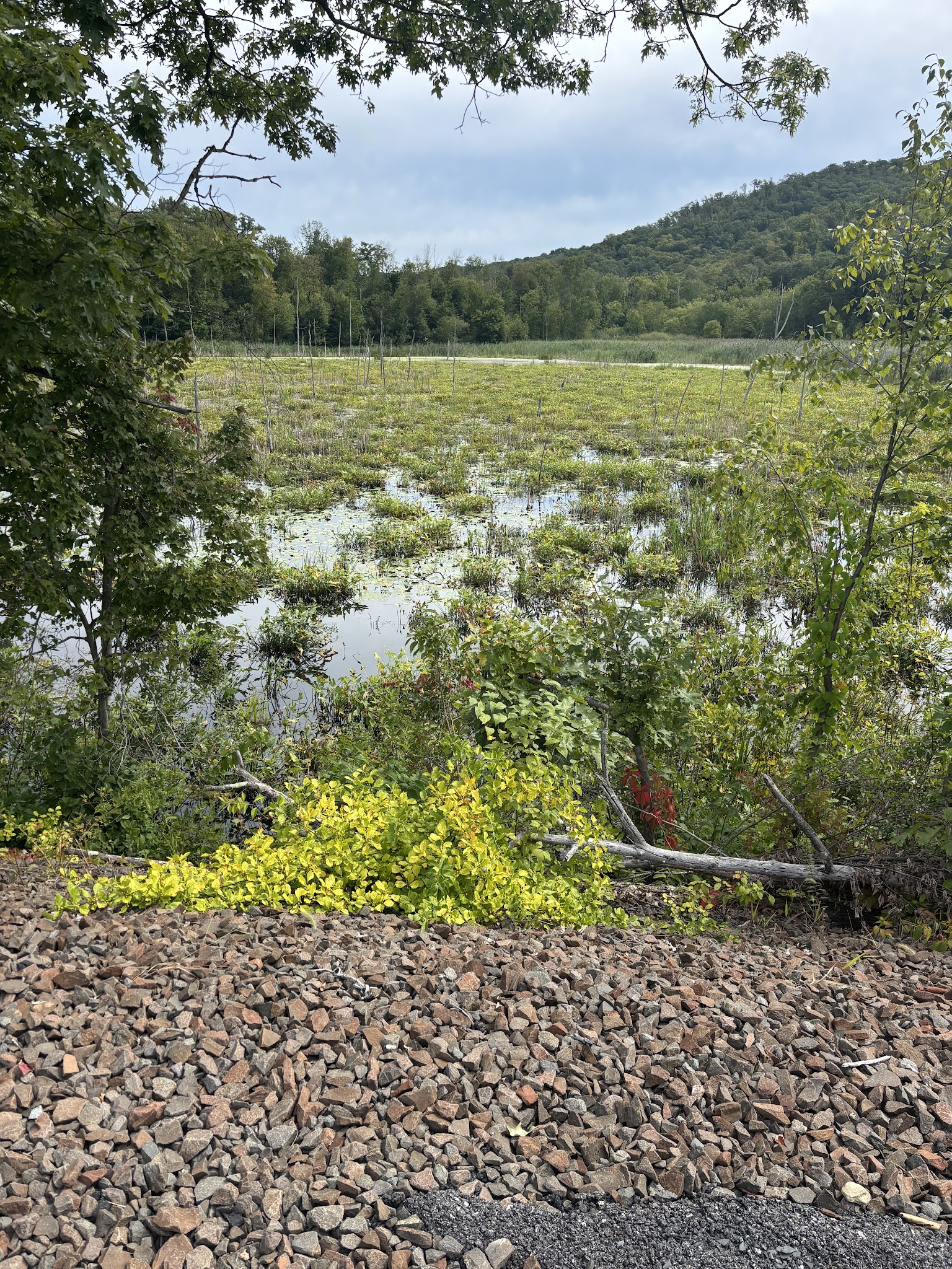 Empire State Trail - Towners Access - Patterson, NY