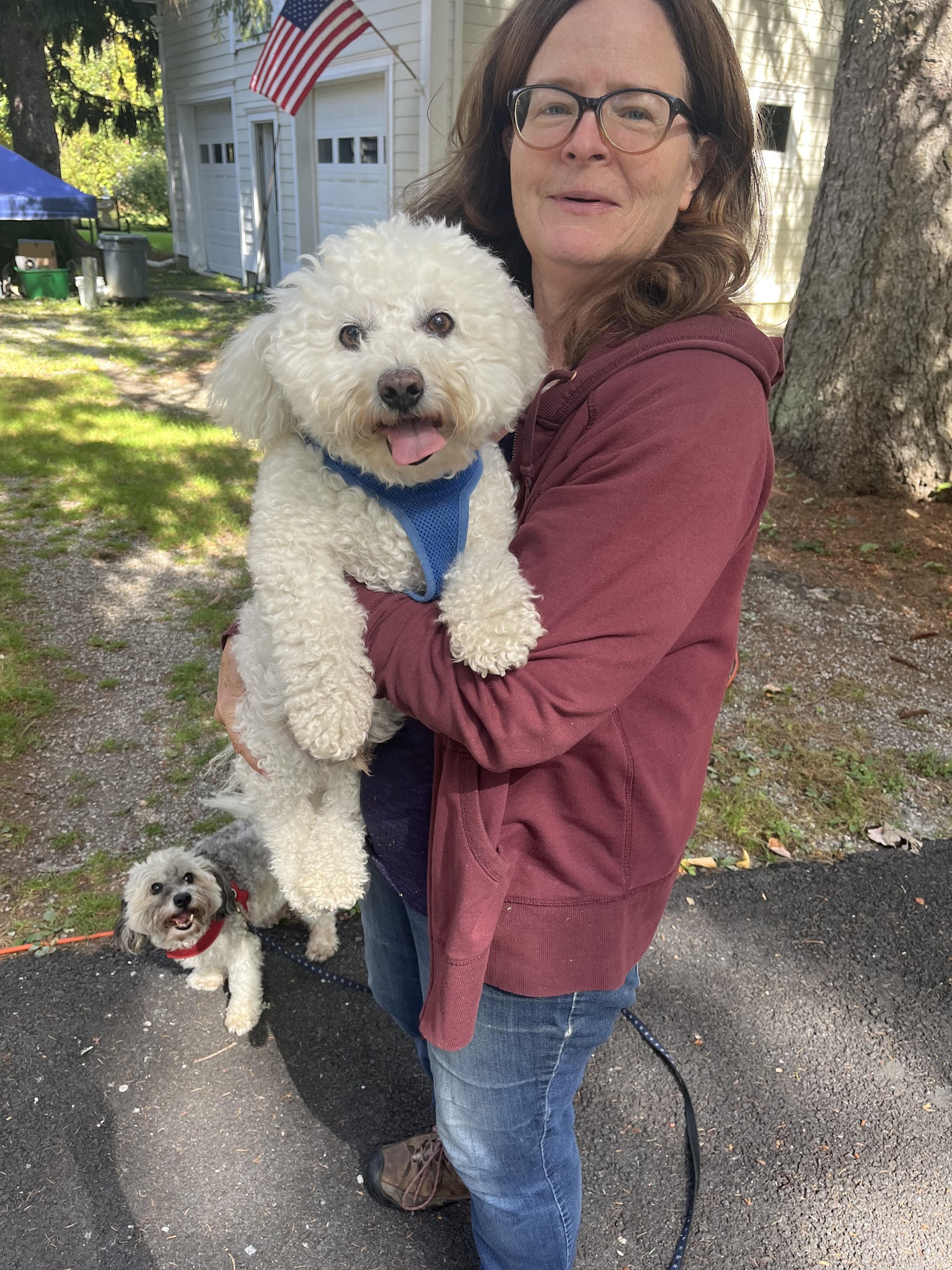 The Dog Tutor - Pawling, NY