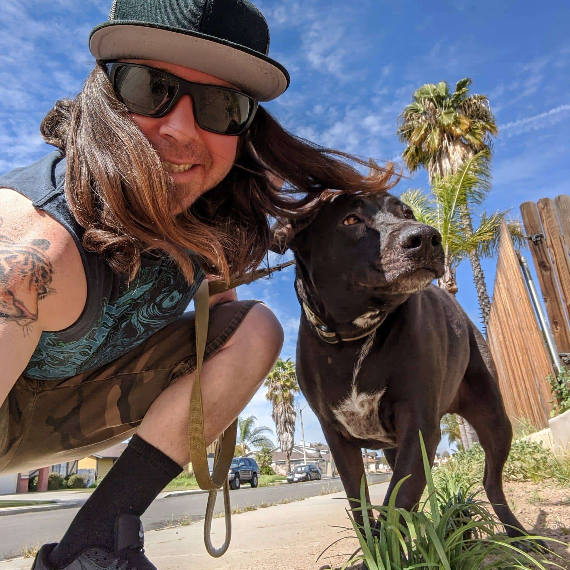 Pawsitive Collective - ,