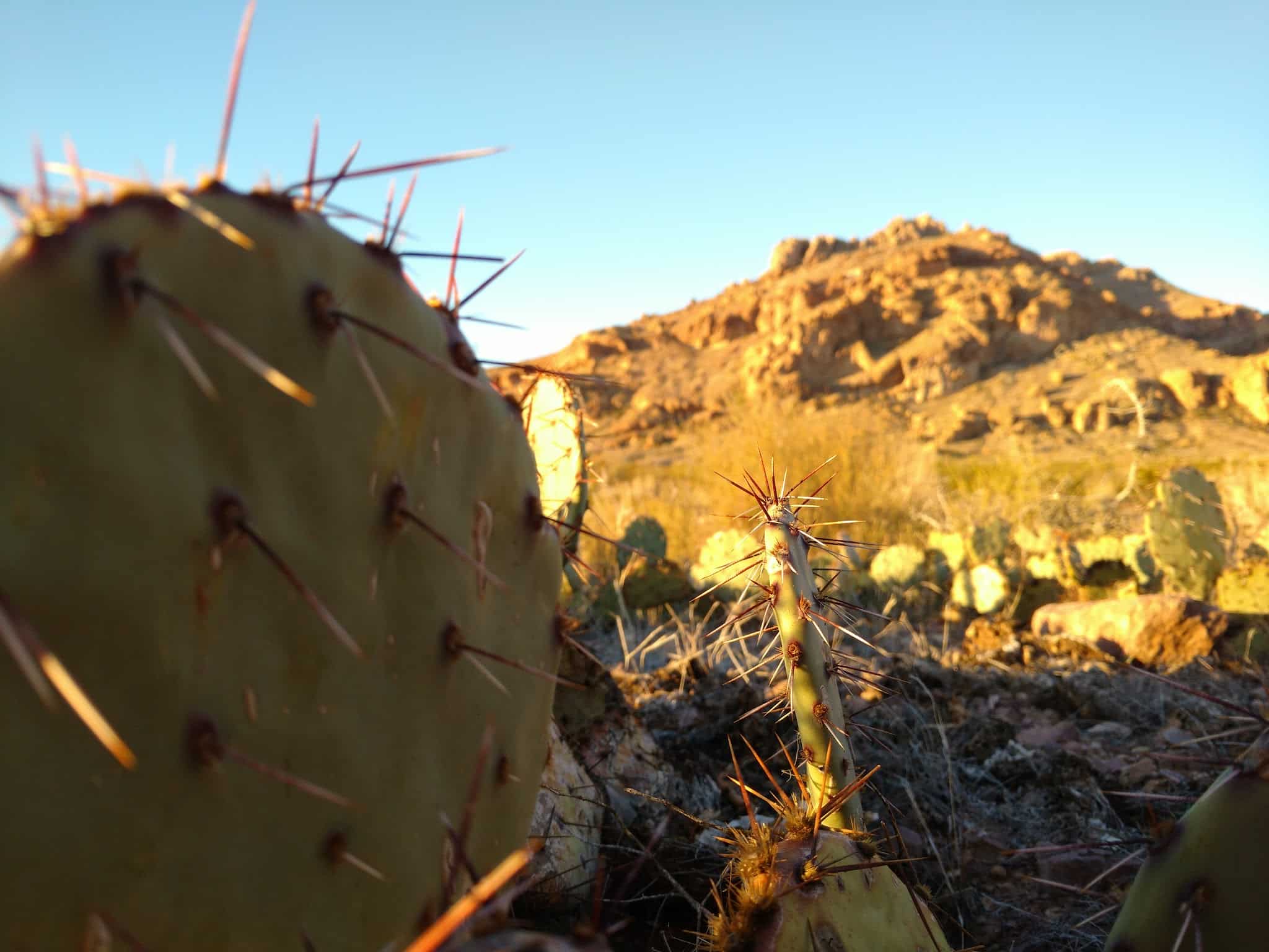 Peña Blanca - Peña Blanca, NM