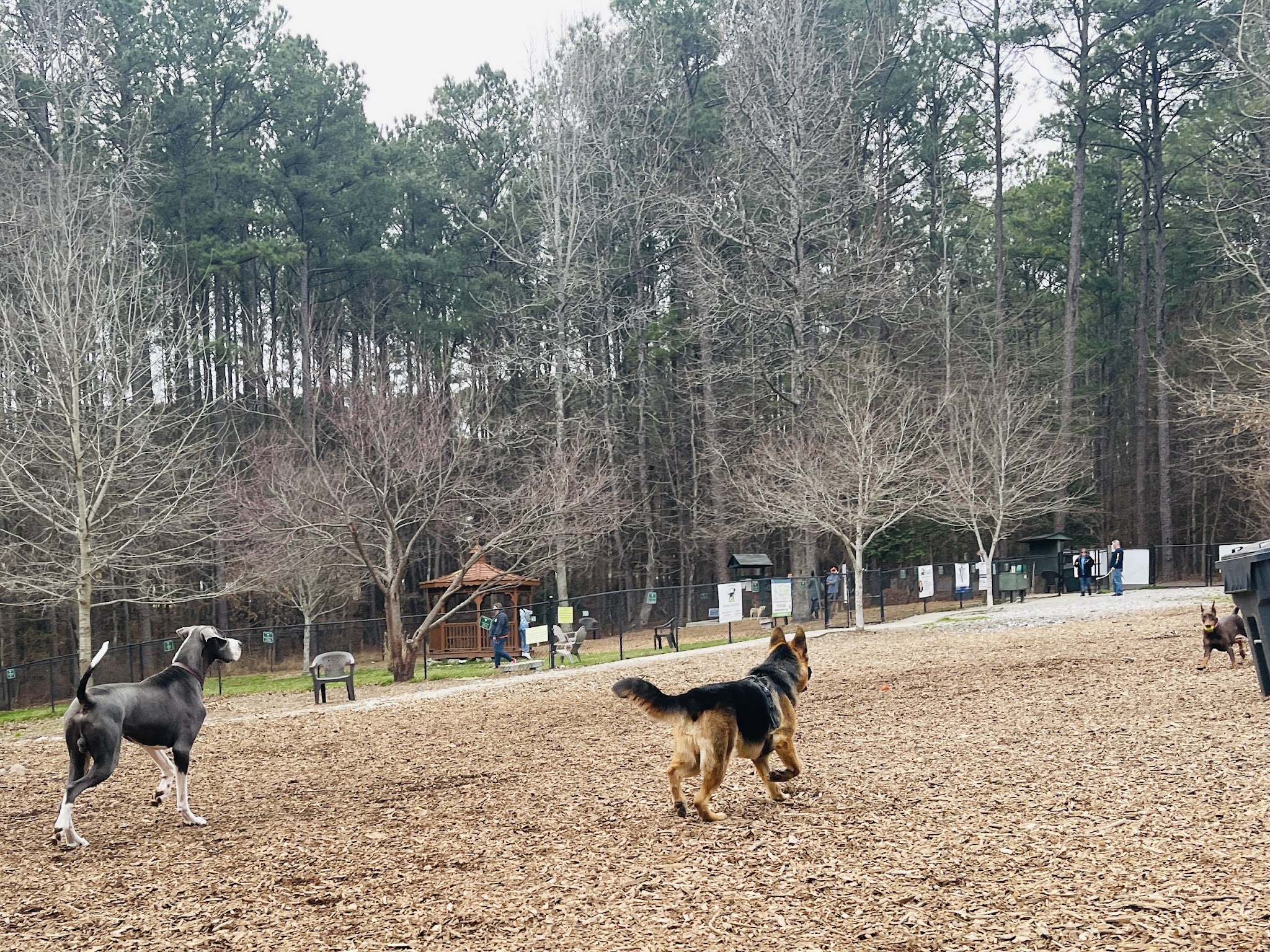 Peachtree City Dog Park - Peachtree City, GA