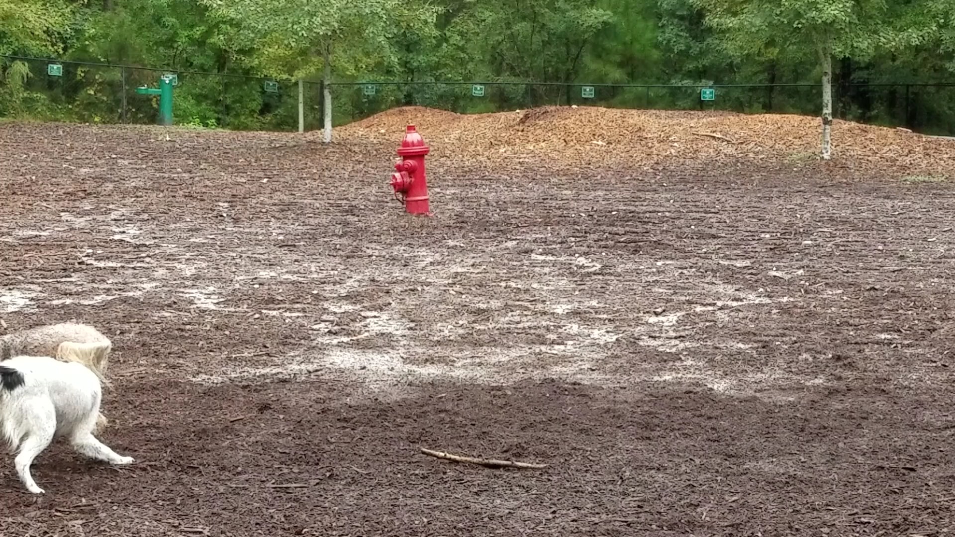 Peachtree City Dog Park - Peachtree City, GA