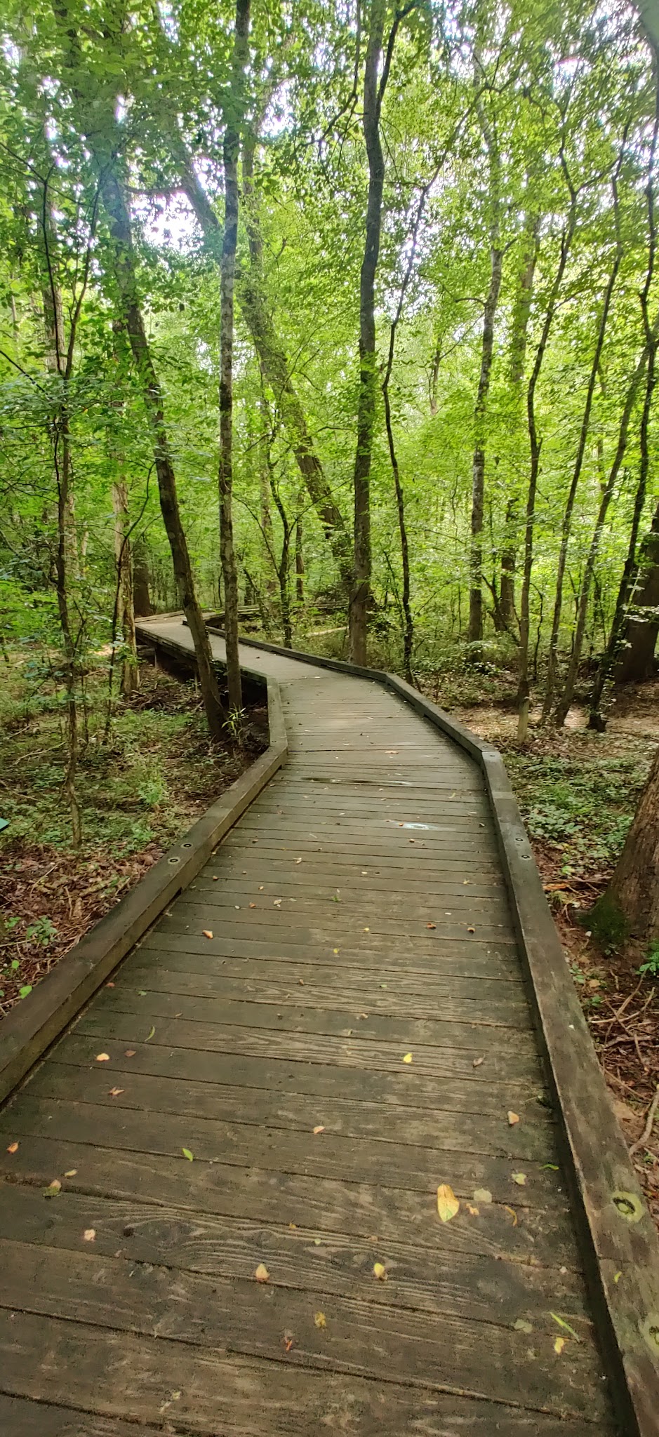 Peachtree City Dog Park - Peachtree City, GA