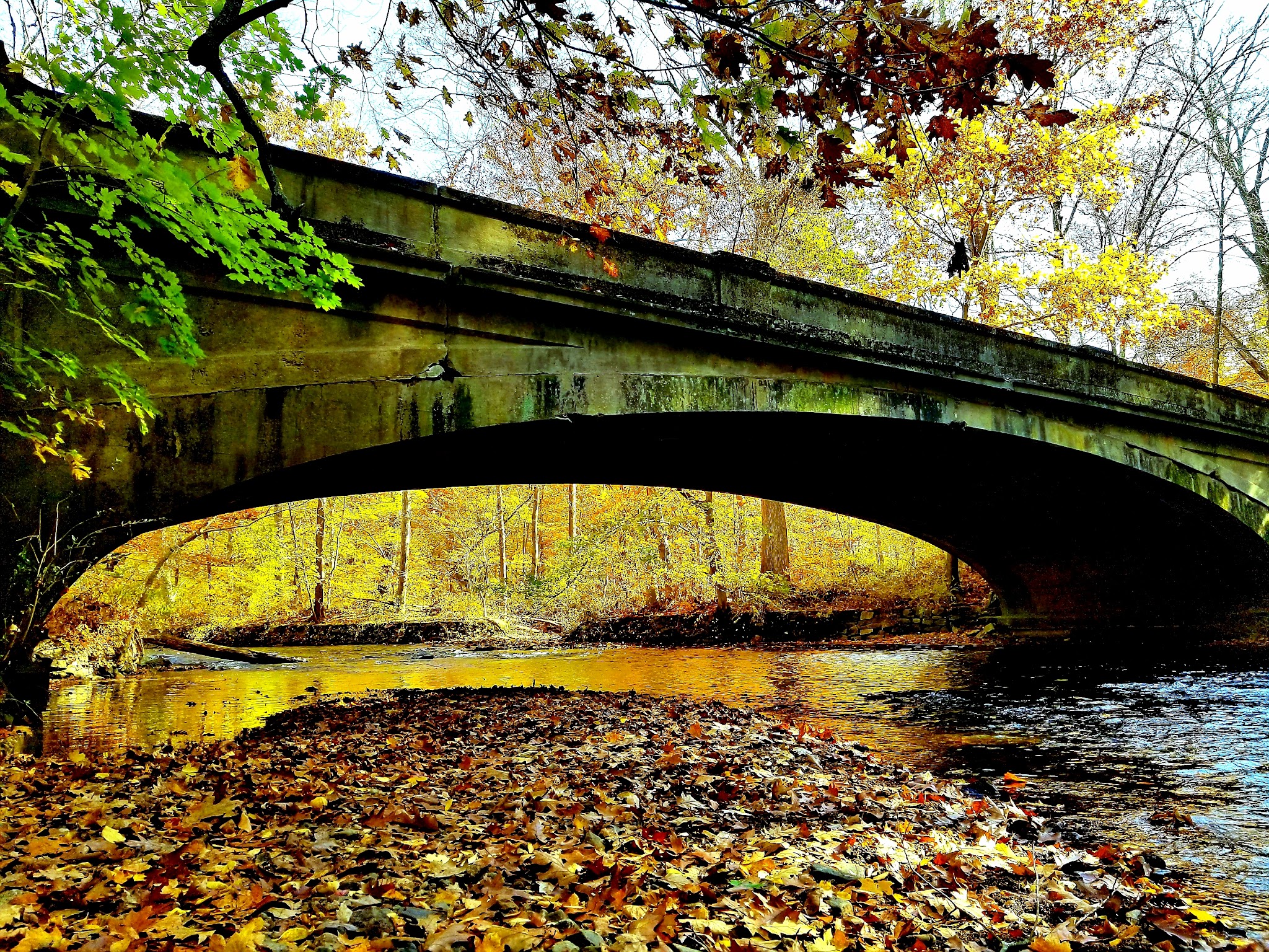 Natirar Park - Peapack, NJ