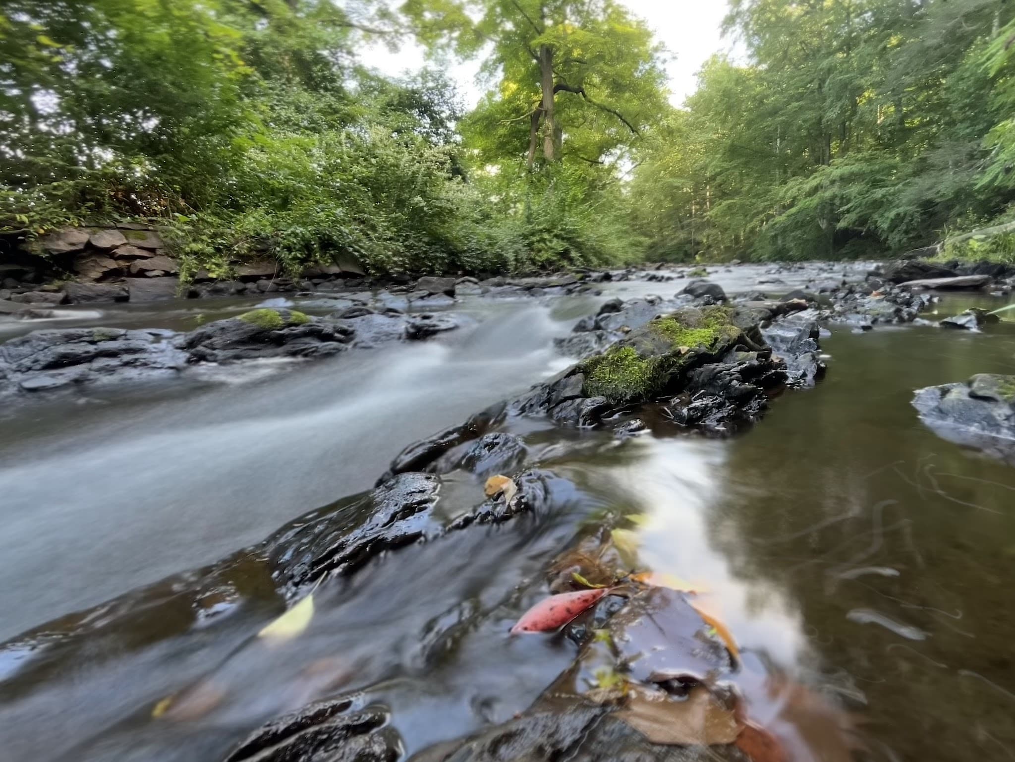 Natirar Park - Peapack, NJ