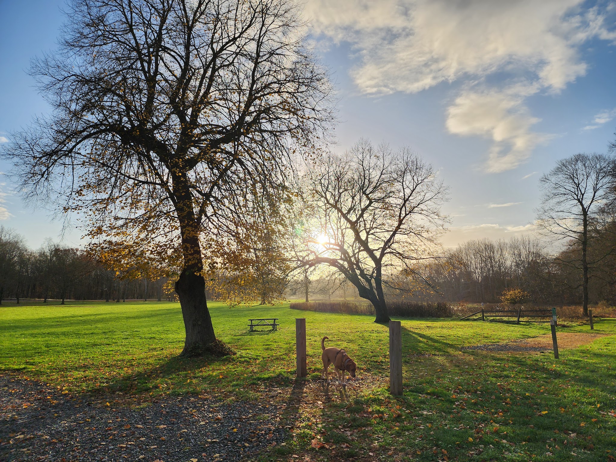 Natirar Park - Peapack, NJ