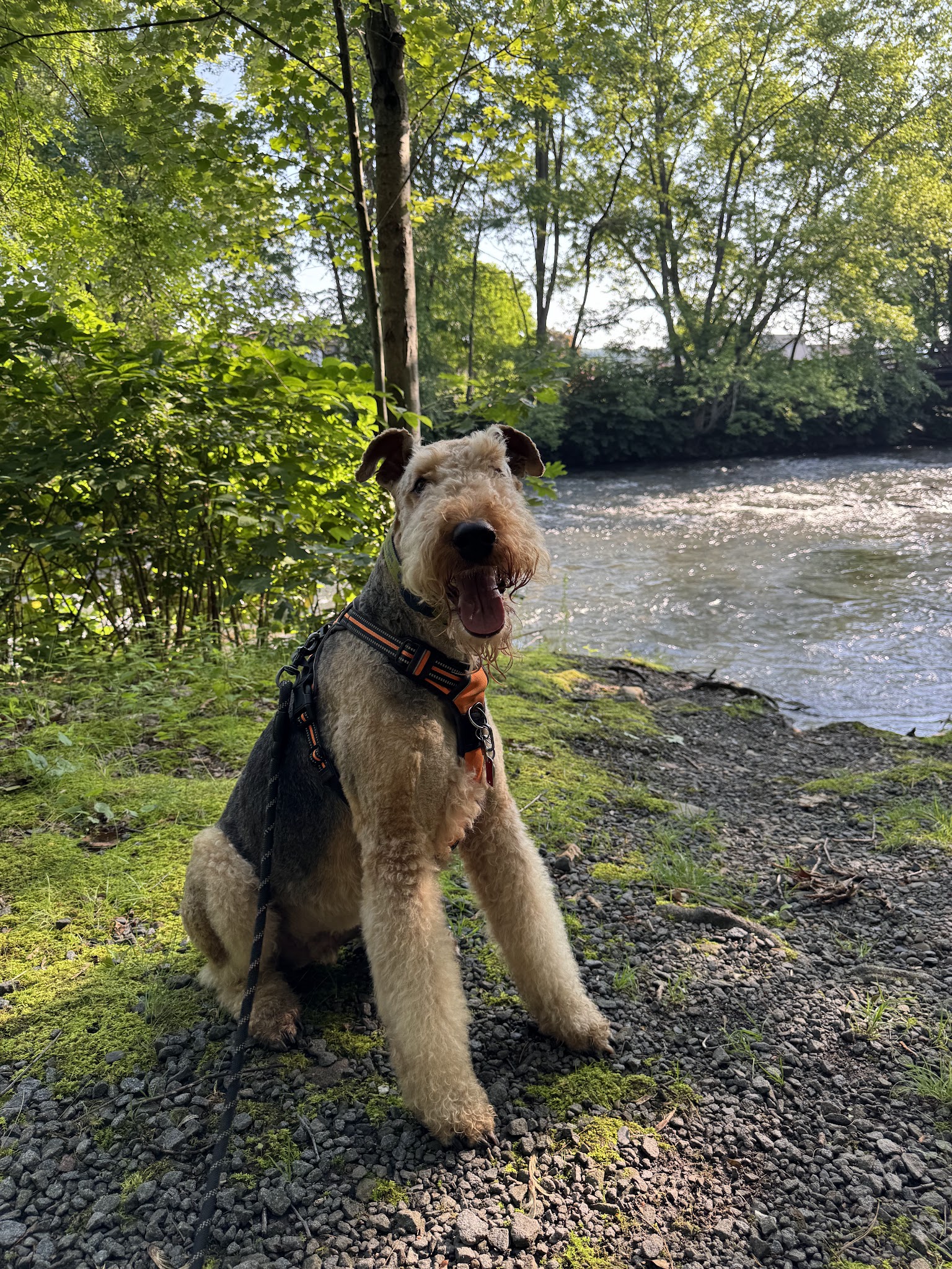Bob mellow park - Peckville, PA
