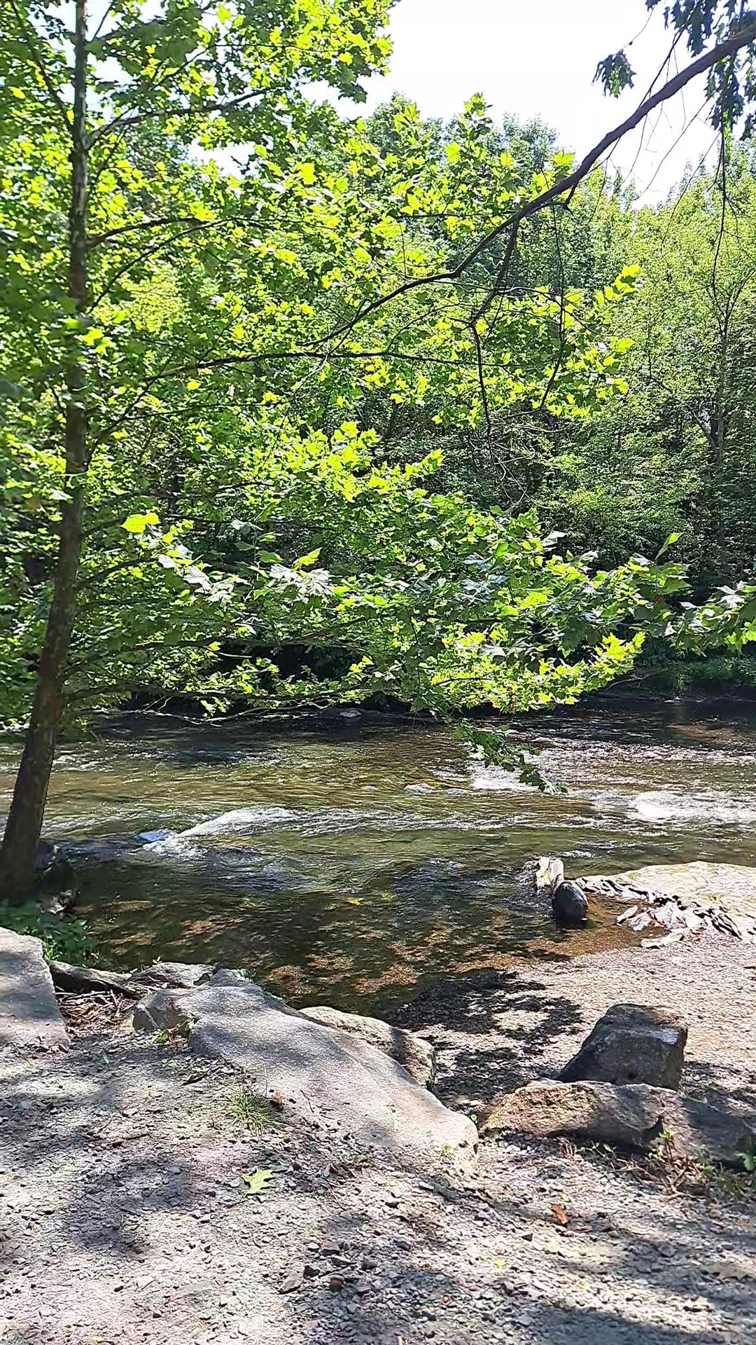 Bob mellow park - Peckville, PA