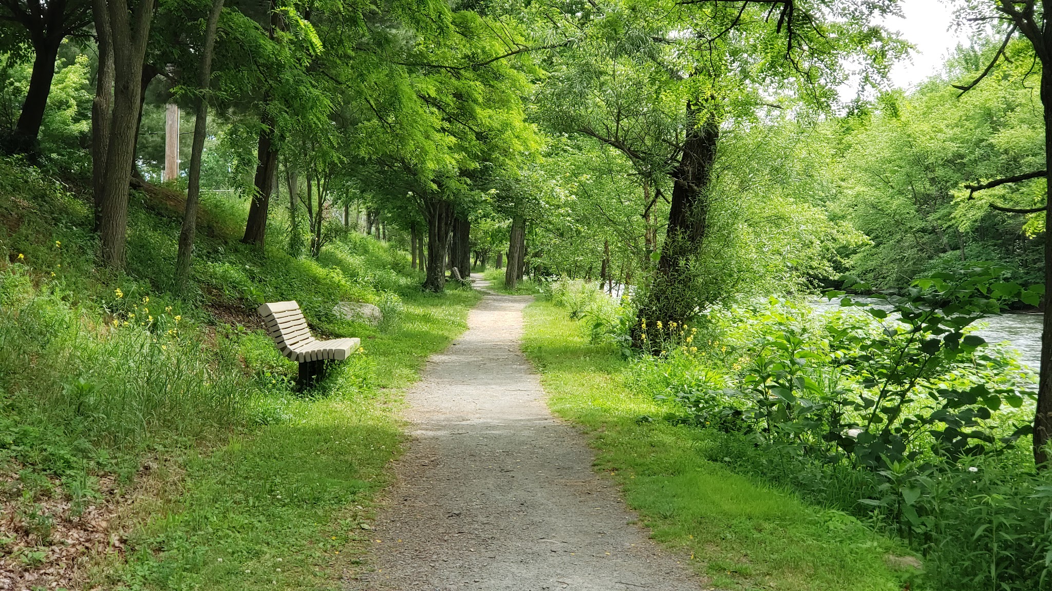 Bob mellow park - Peckville, PA