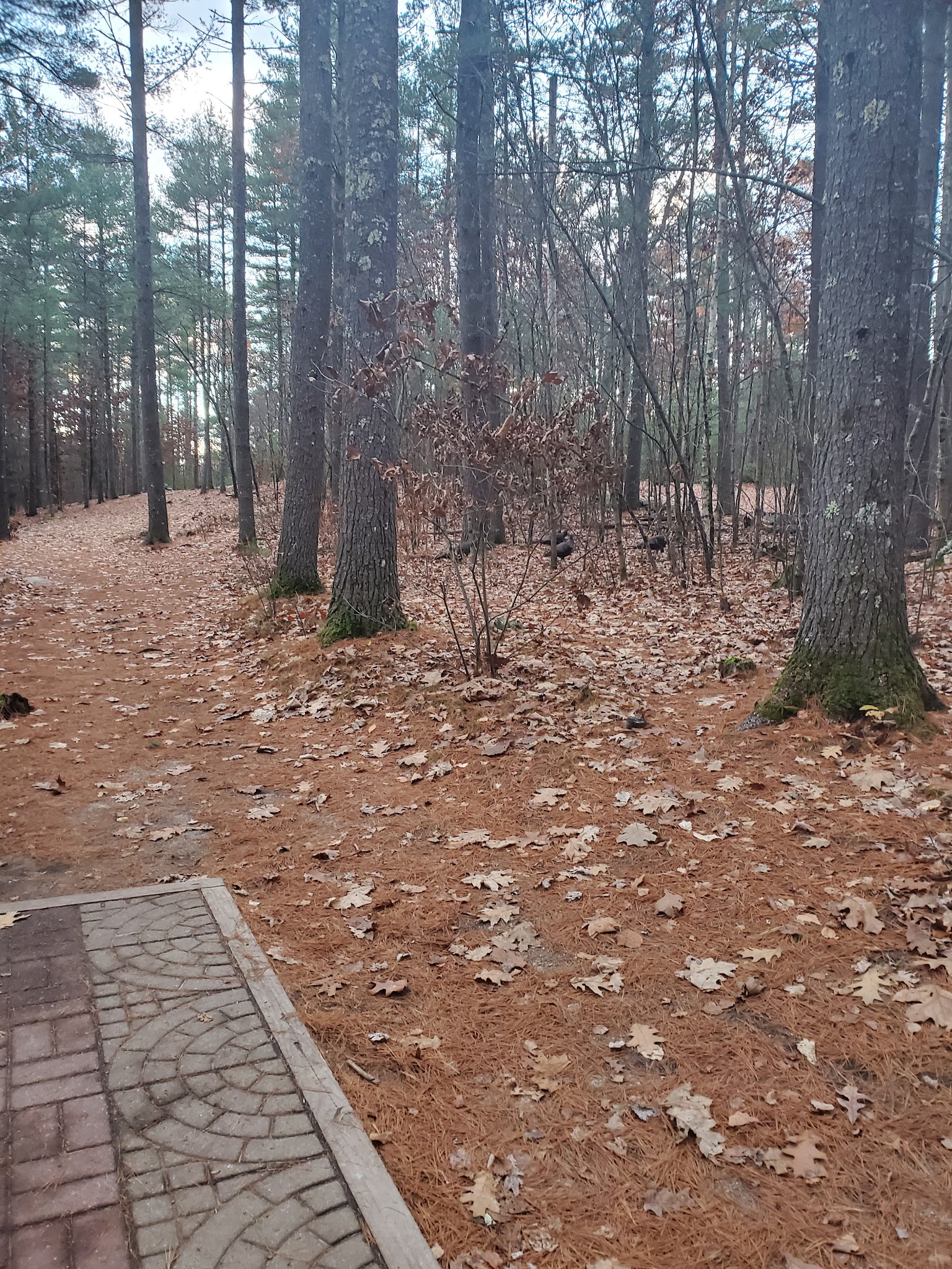 George M. Muldoon Park - Pelham, NH