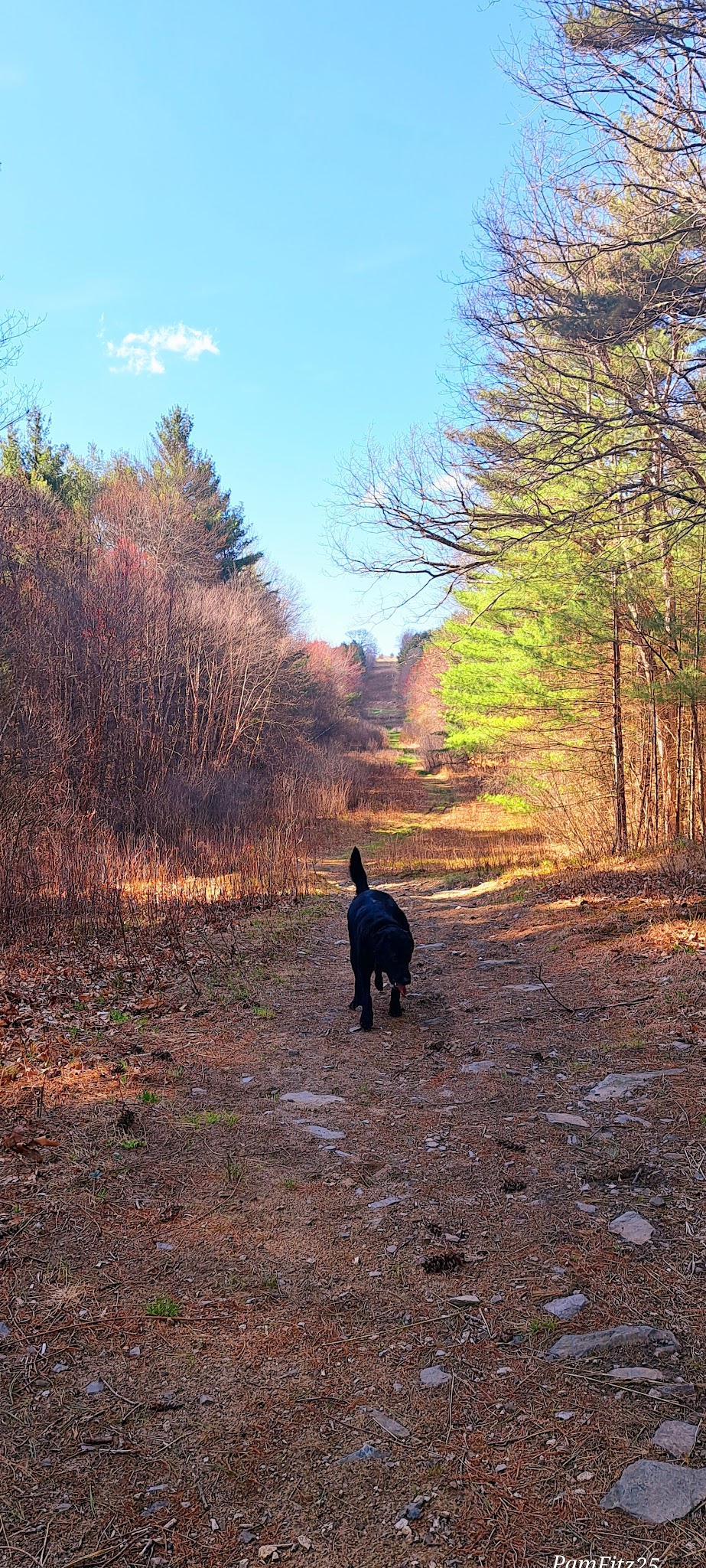Wolven park - Pelham, NH