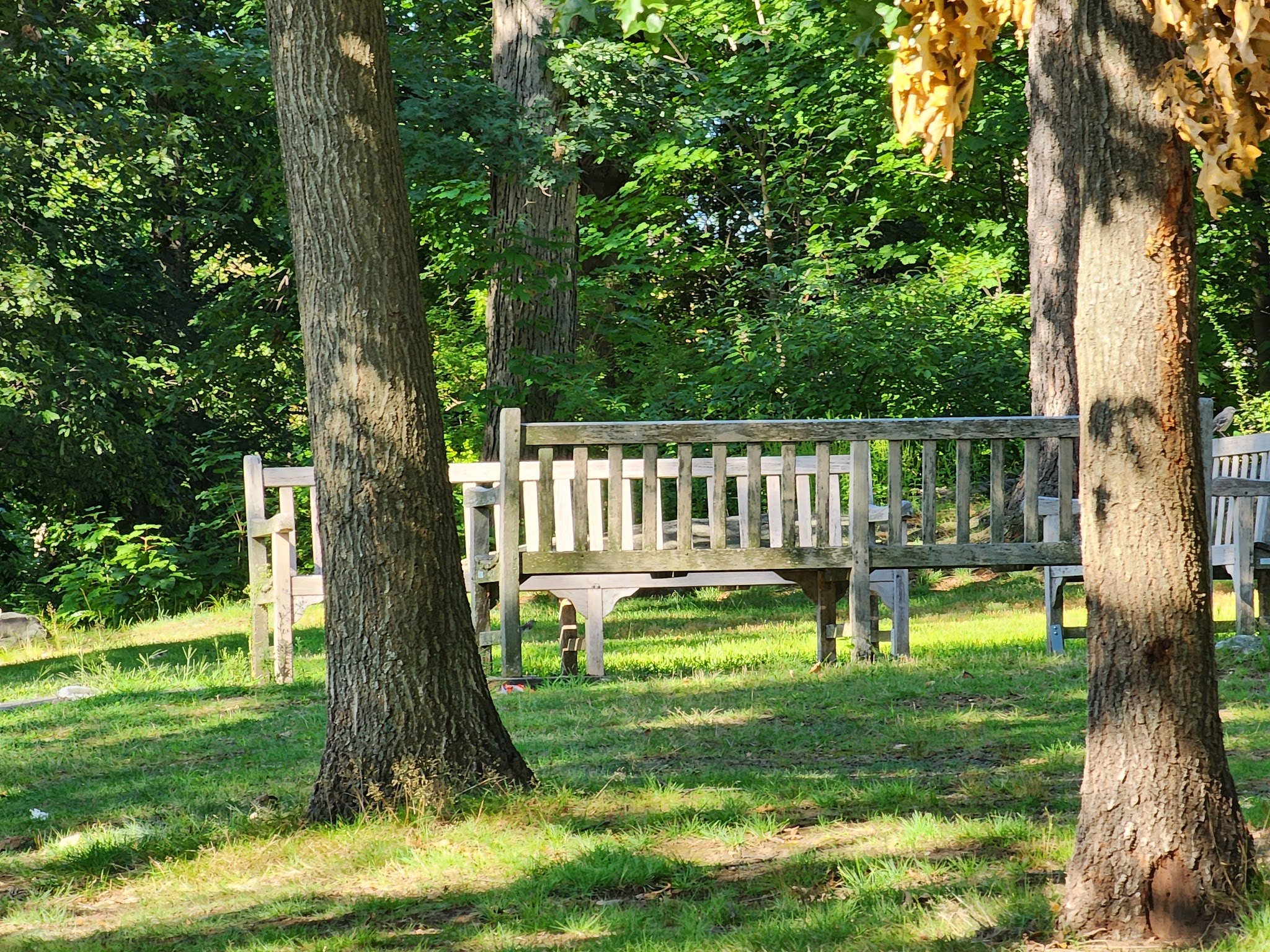 Wolfs Lane Park - Pelham, NY