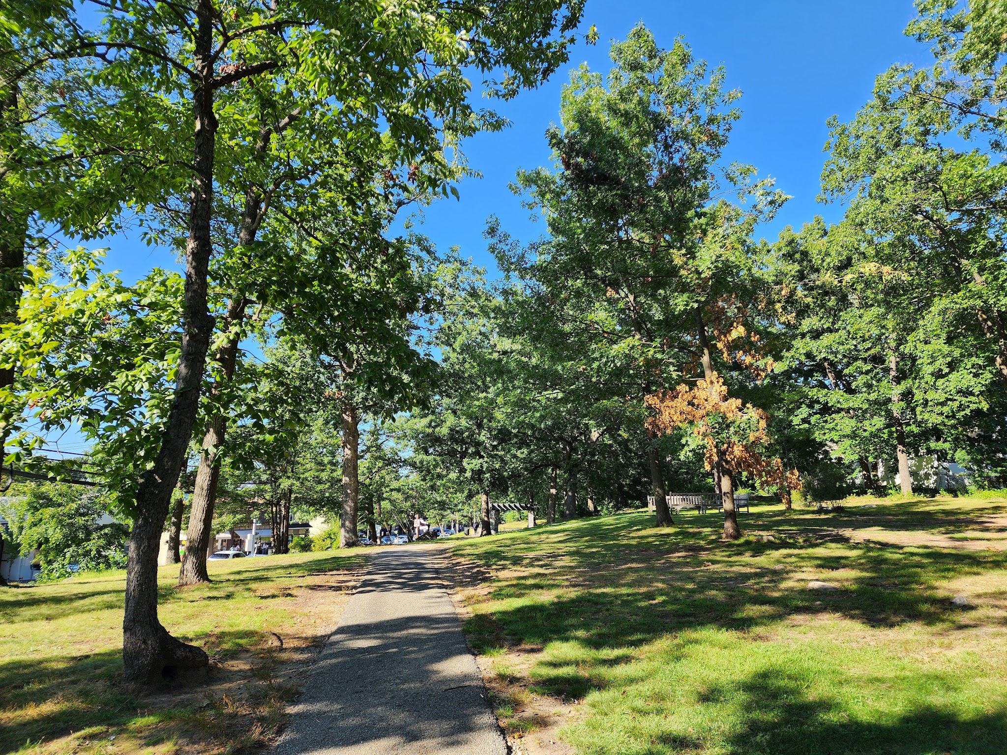 Wolfs Lane Park - Pelham, NY