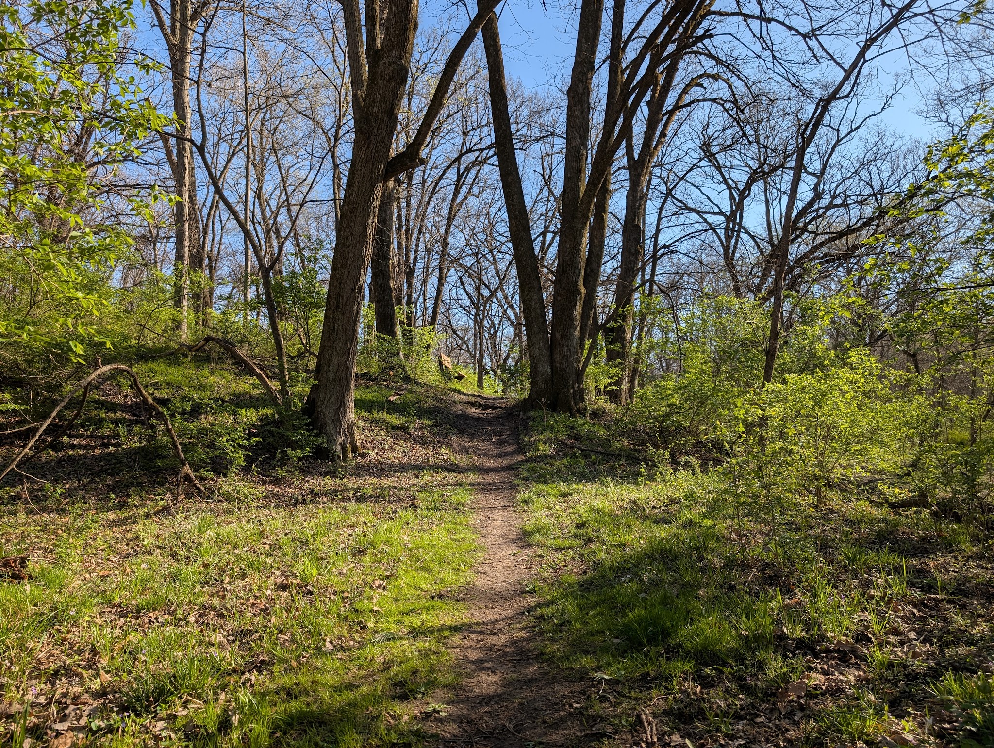 Big Rock - Pella, IA