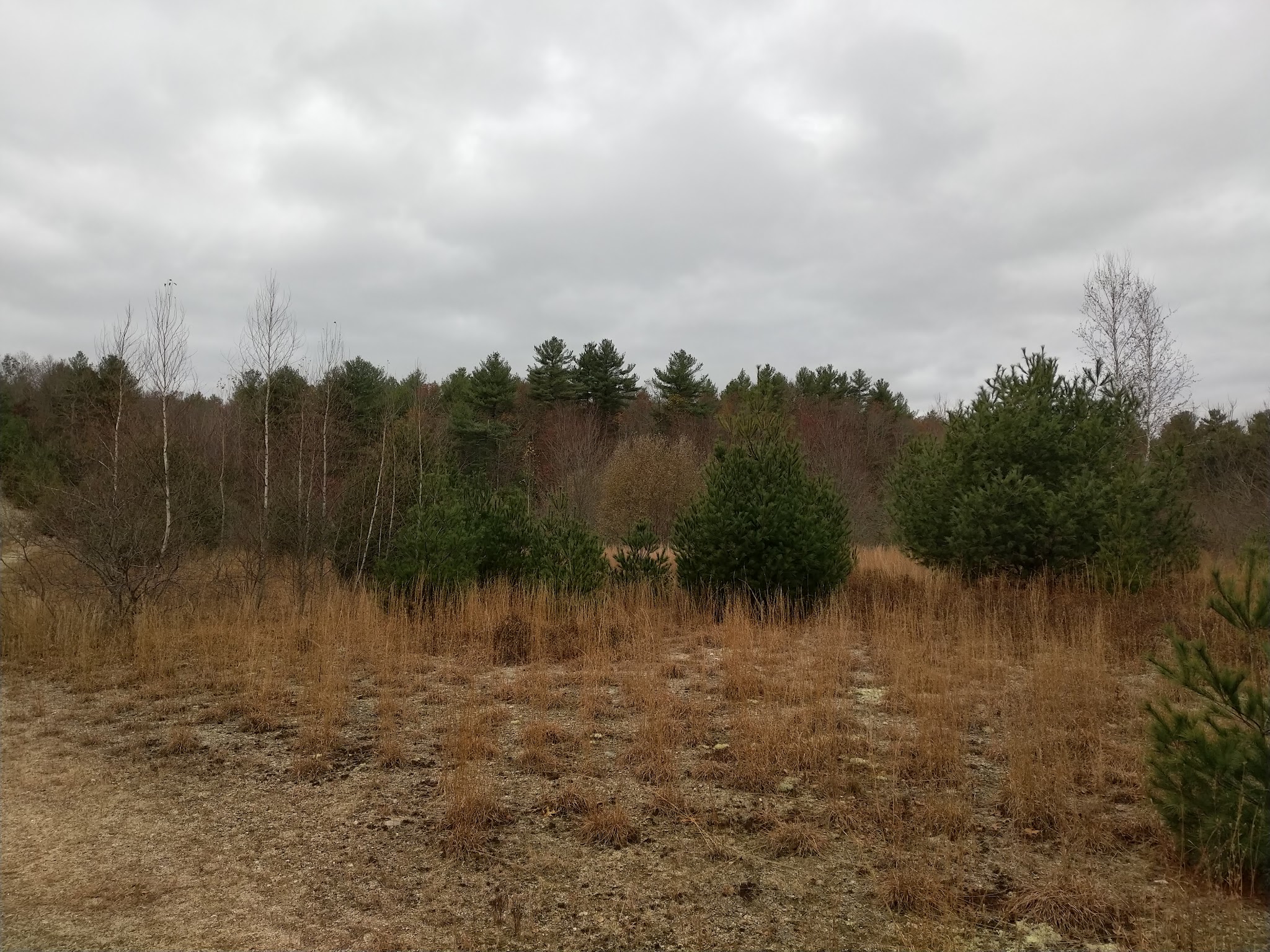 Tubbs Meadow Monroe Street Trailhead - Pembroke, MA