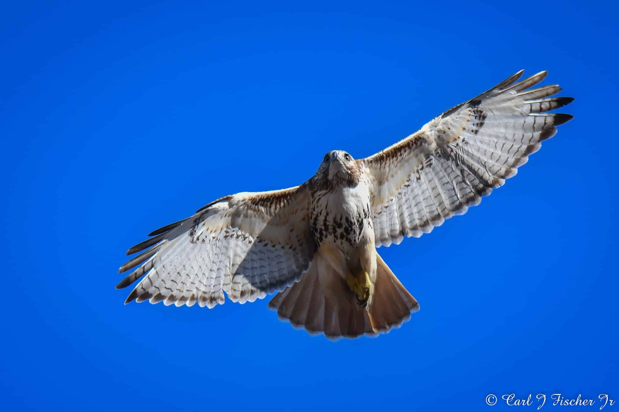 Plainfield Township Trail #2 - Pen Argyl, PA