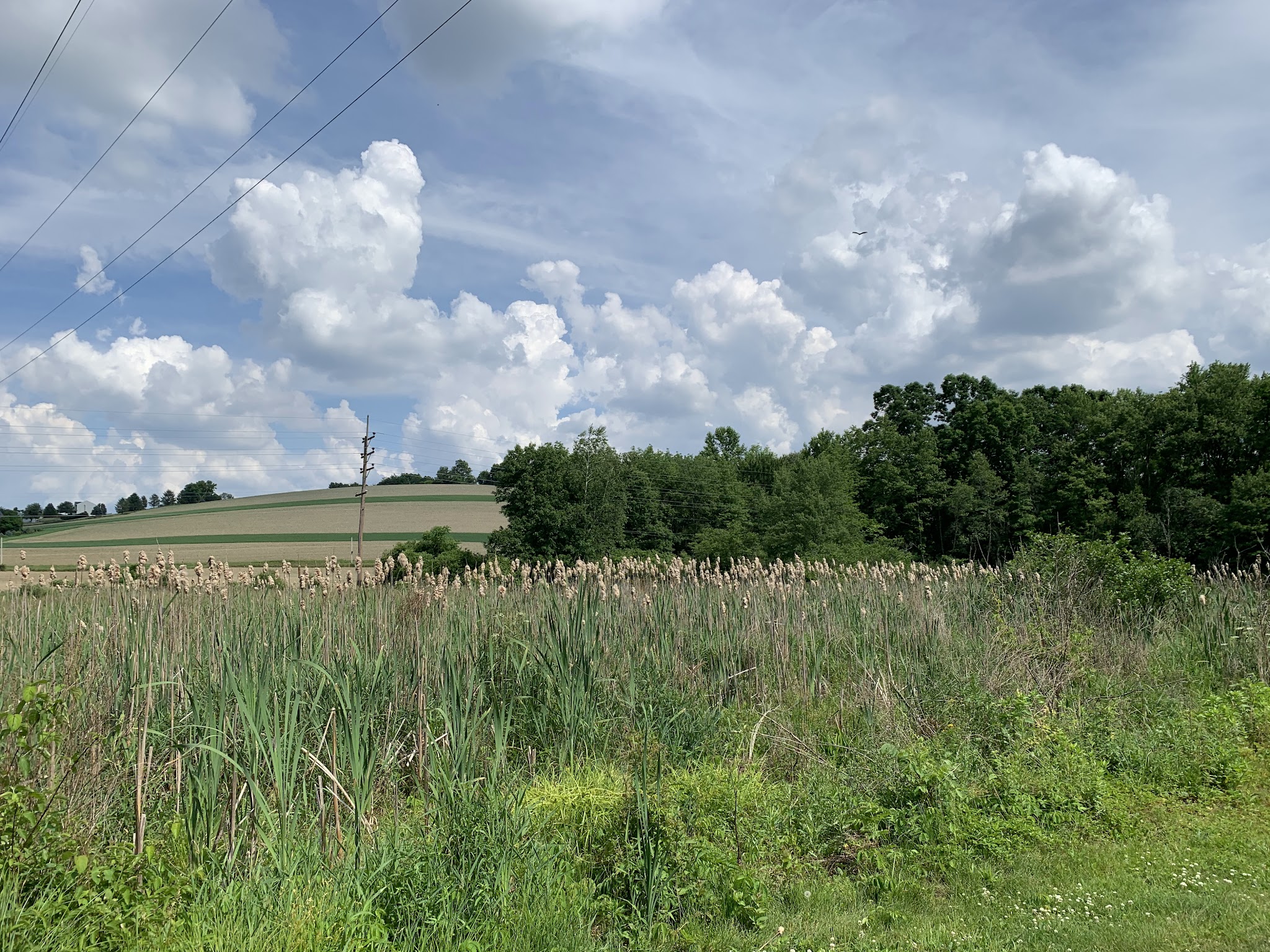 Plainfield Township Trail #2 - Pen Argyl, PA
