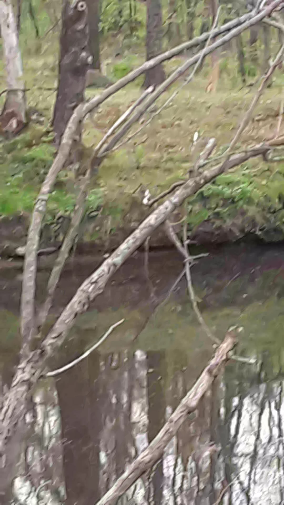 Fernbrook Park - Pennsburg, PA