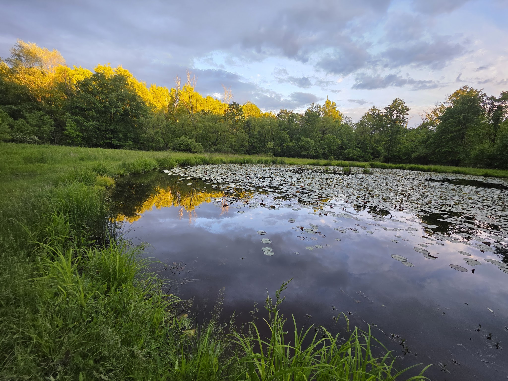 Fernbrook Park - Pennsburg, PA