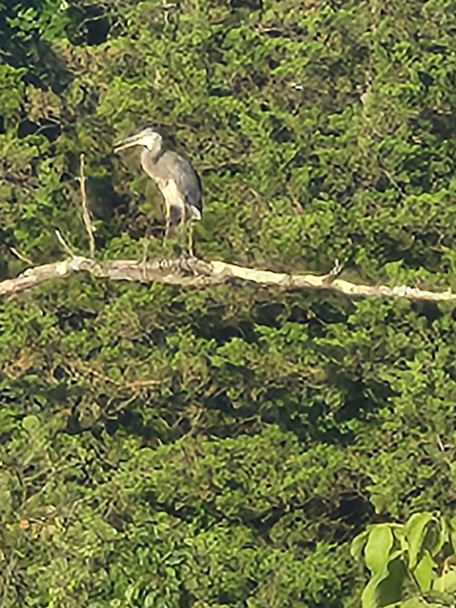 Green Lane Park - Pennsburg, PA