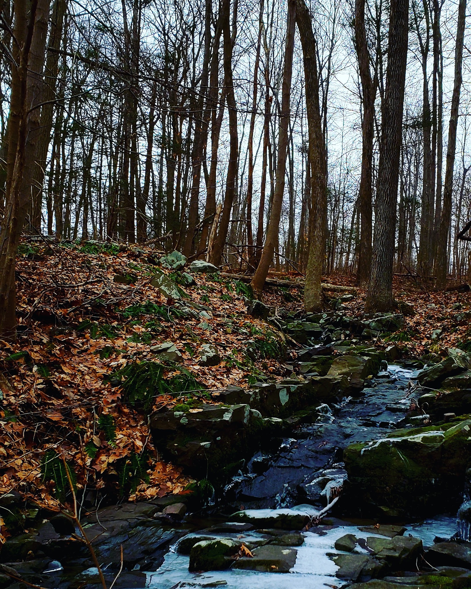 Green Lane Park - Blue Trail - Pennsburg, PA
