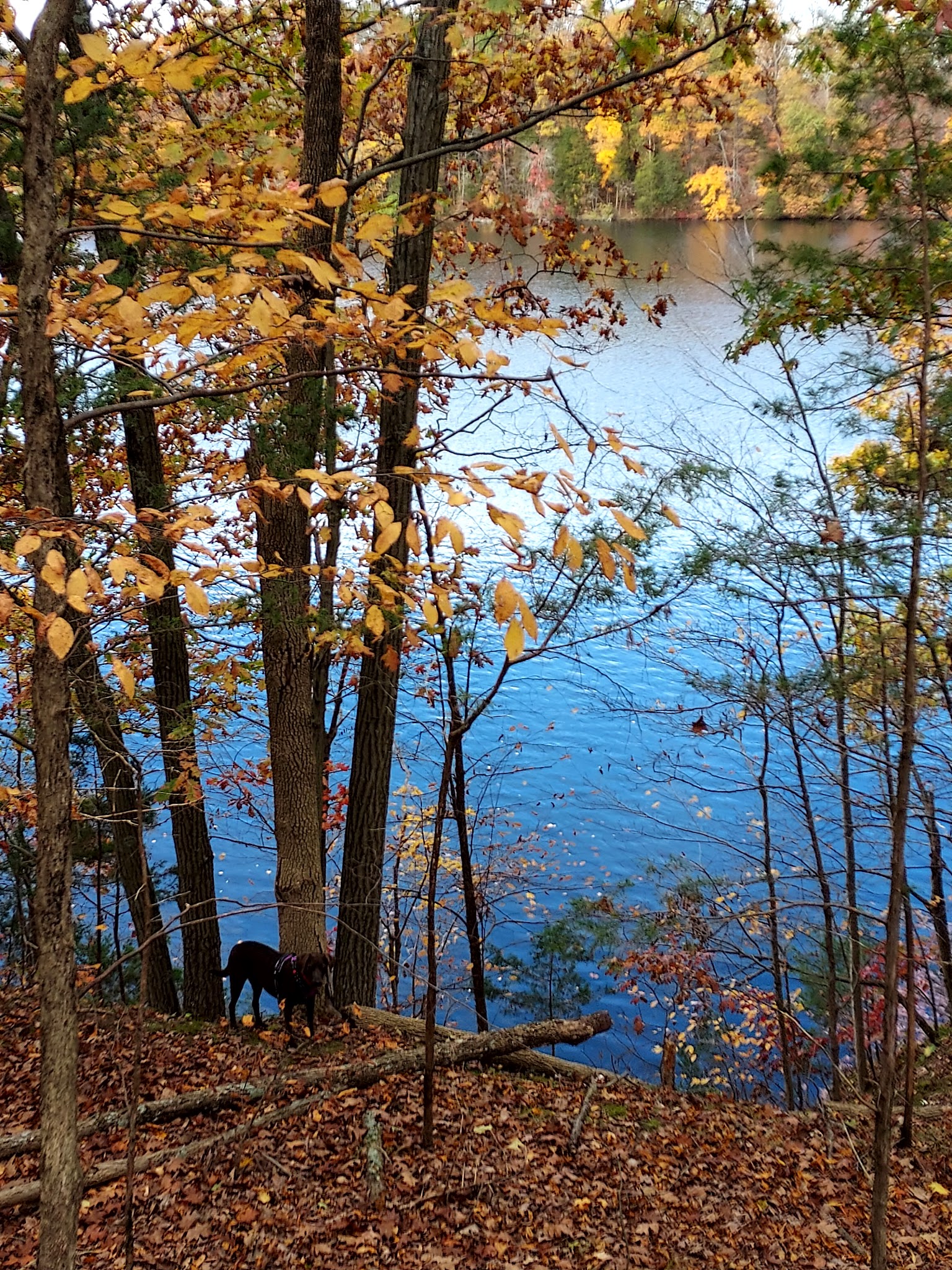 Green Lane Park - Blue Trail - Pennsburg, PA