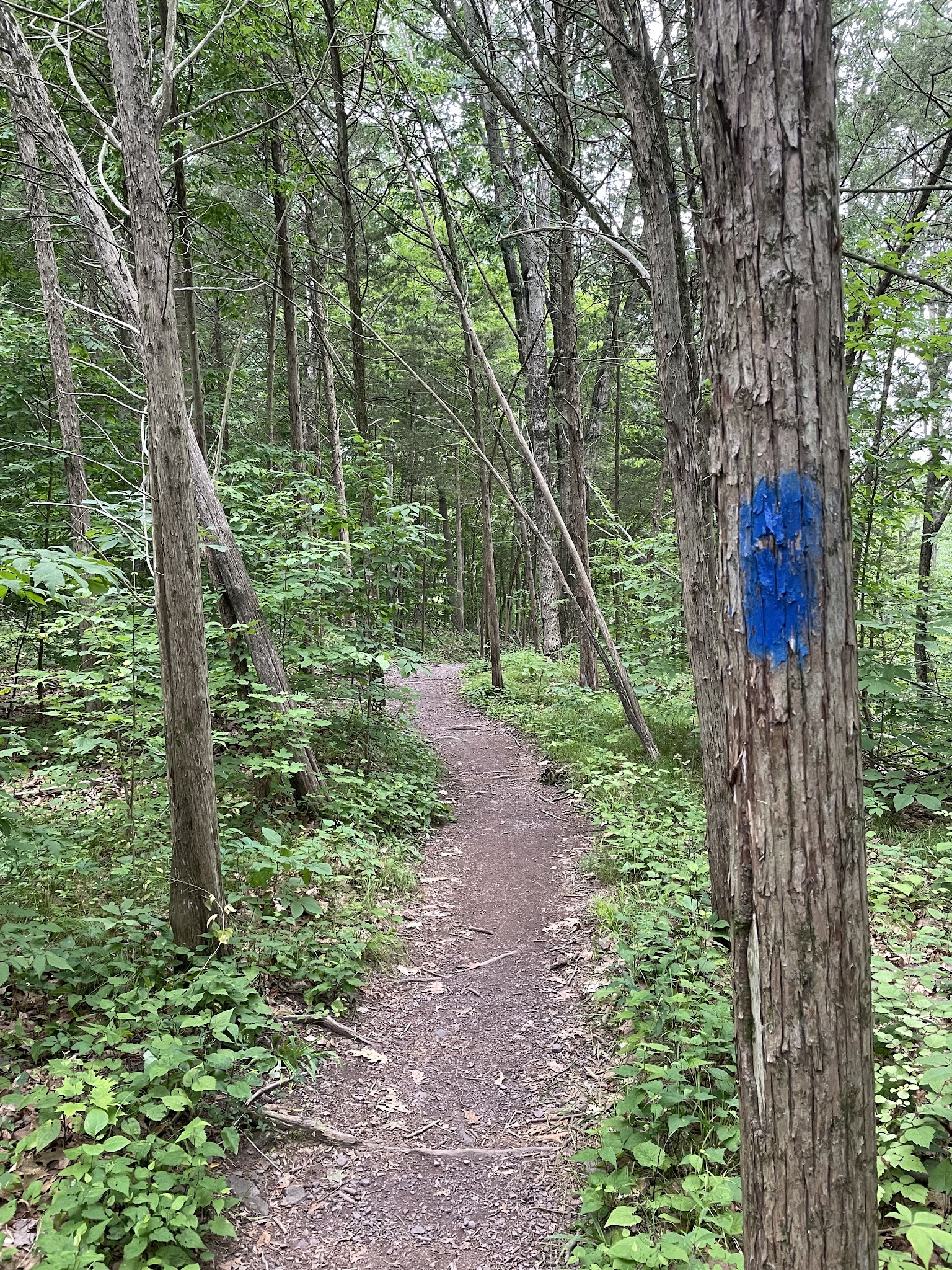 Green Lane Park - Blue Trail - Pennsburg, PA