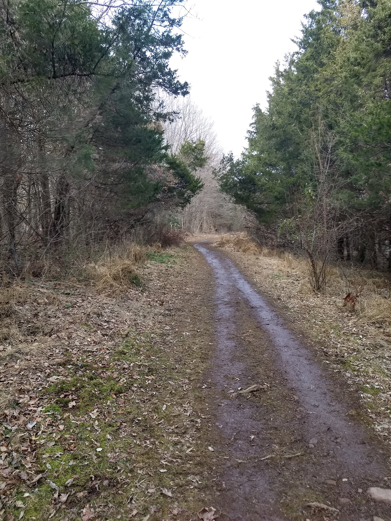 Green Lane Park - Ward Road Trailhead - Pennsburg, PA