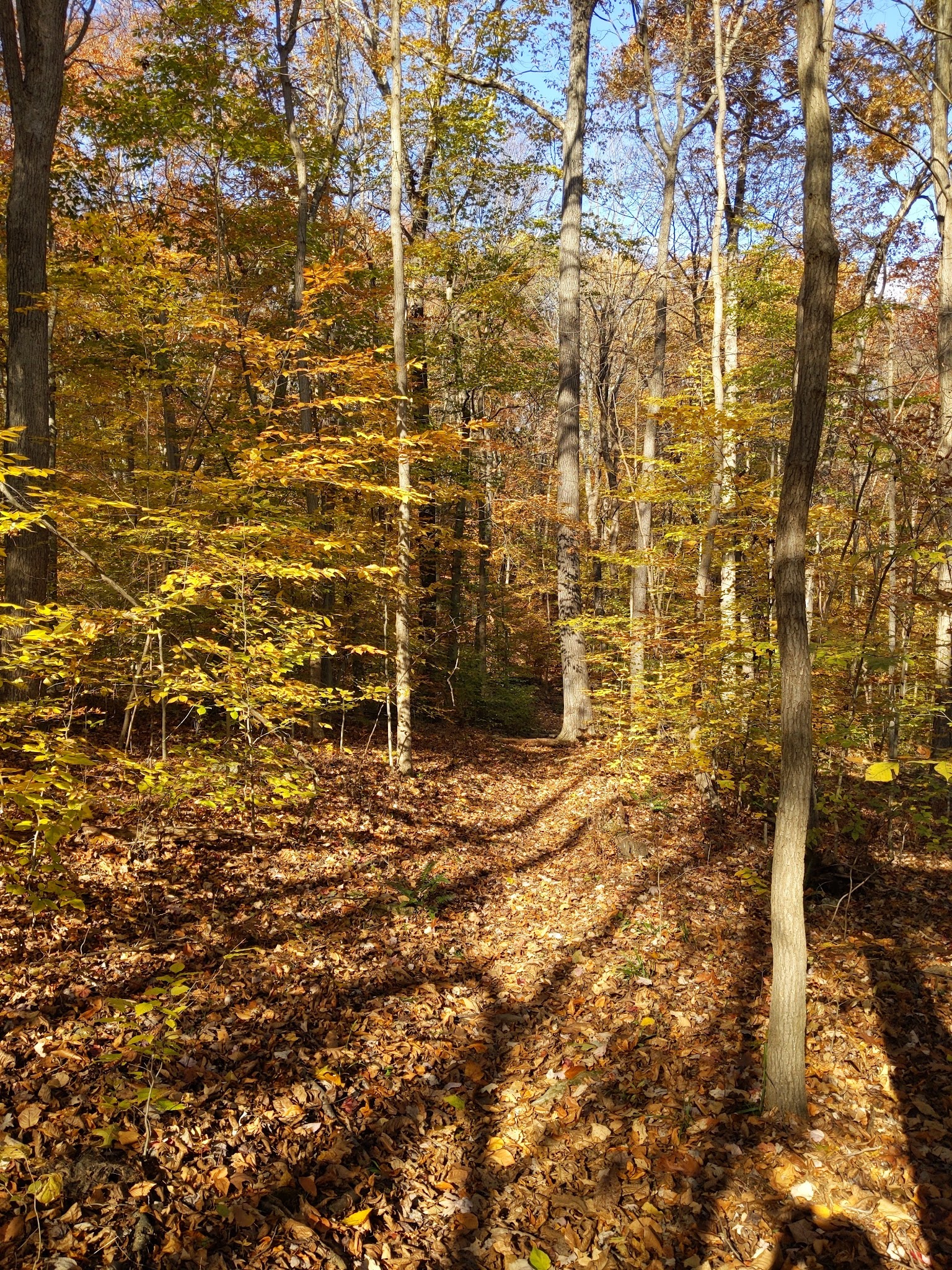 Green Lane Park - Ward Road Trailhead - Pennsburg, PA