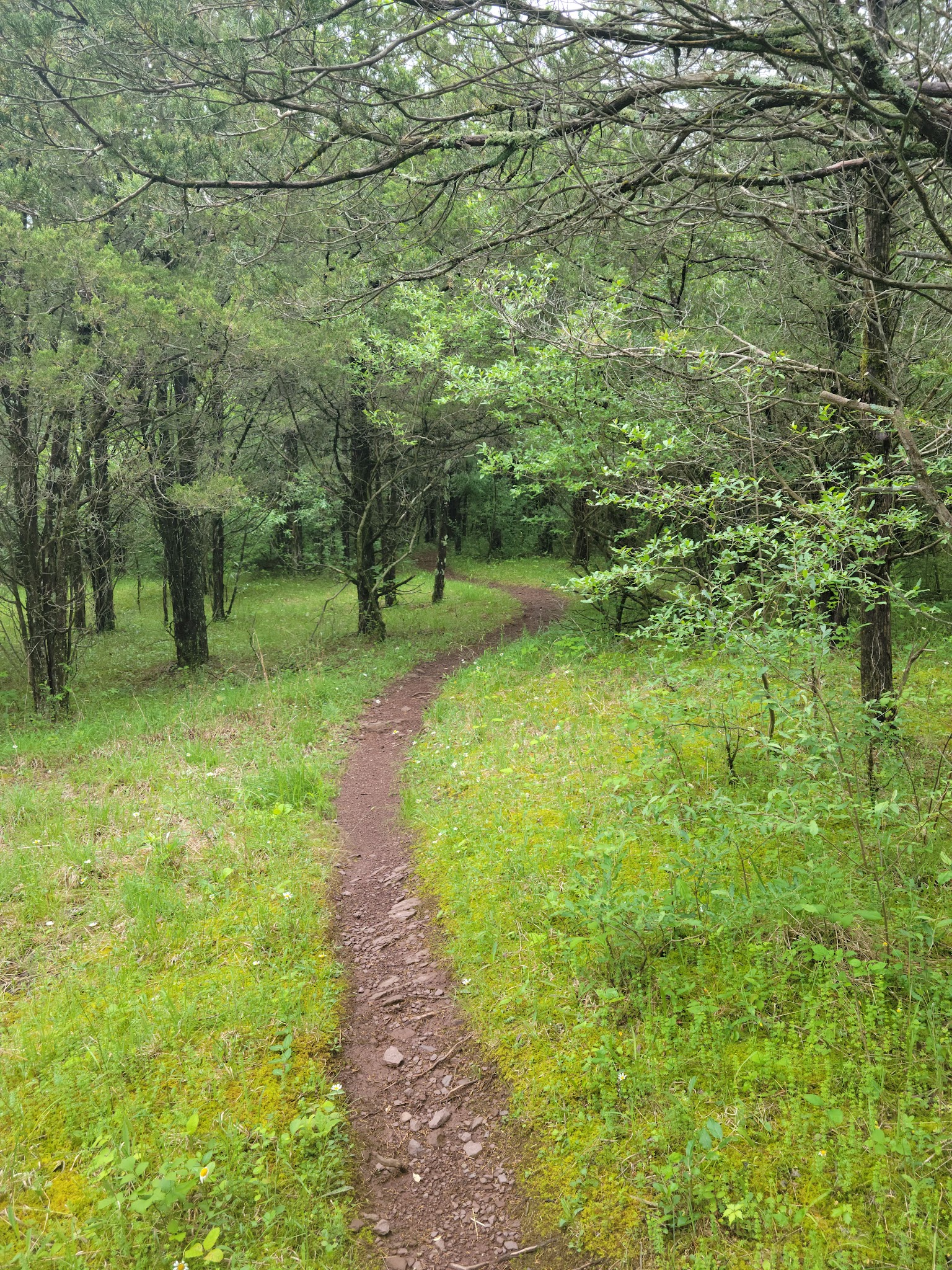 Green Lane Reservoir - Pennsburg, PA