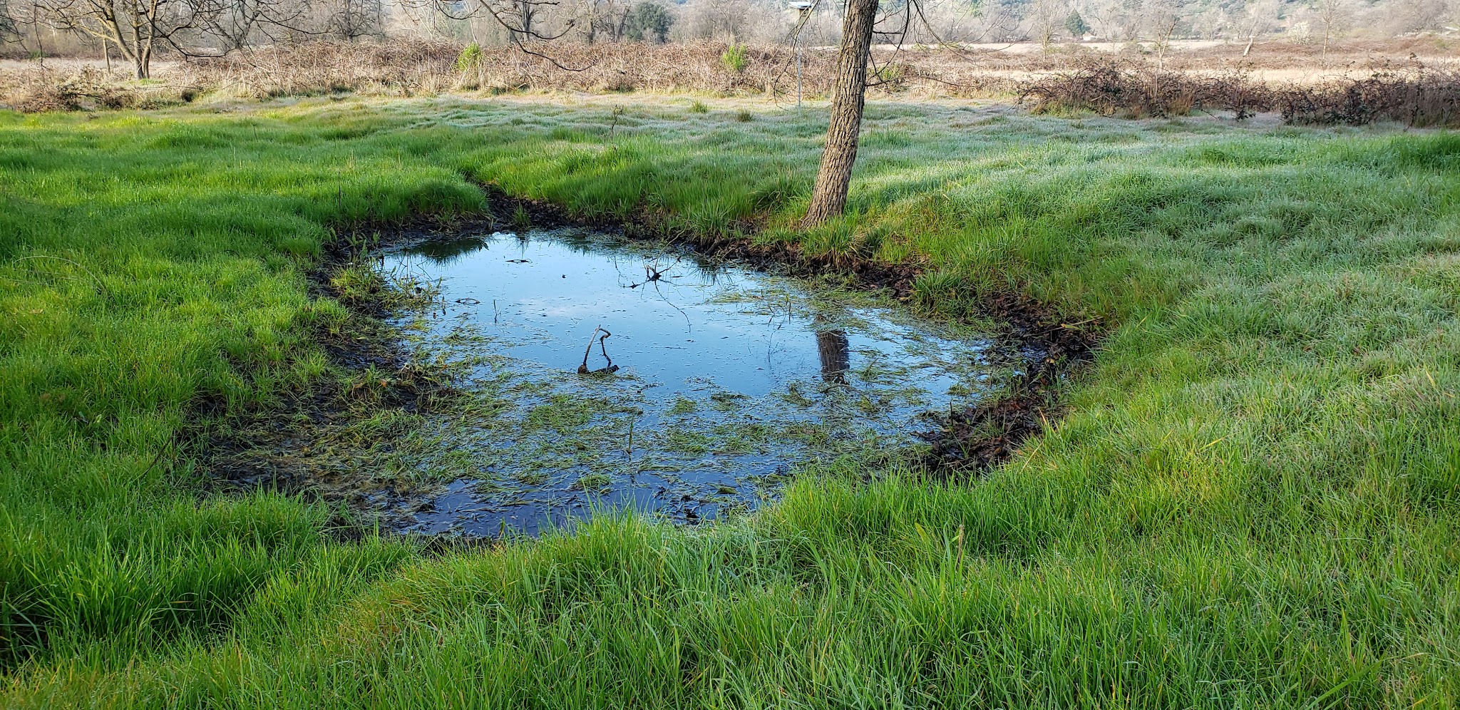 Traylor Ranch Bird Sanctuary And Nature Reserve - Penryn, CA
