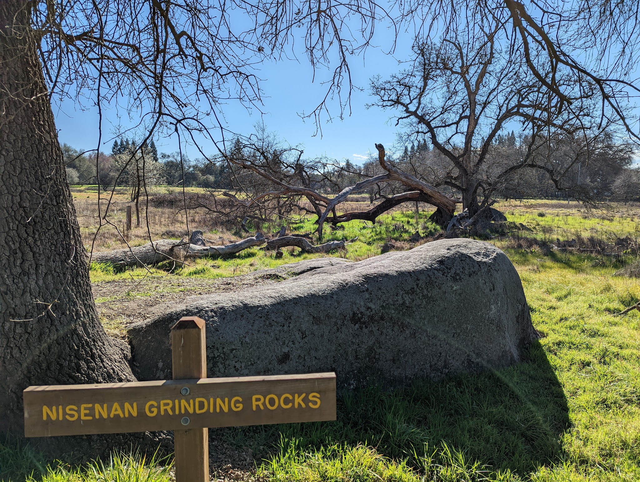 Traylor Ranch Bird Sanctuary And Nature Reserve - Penryn, CA