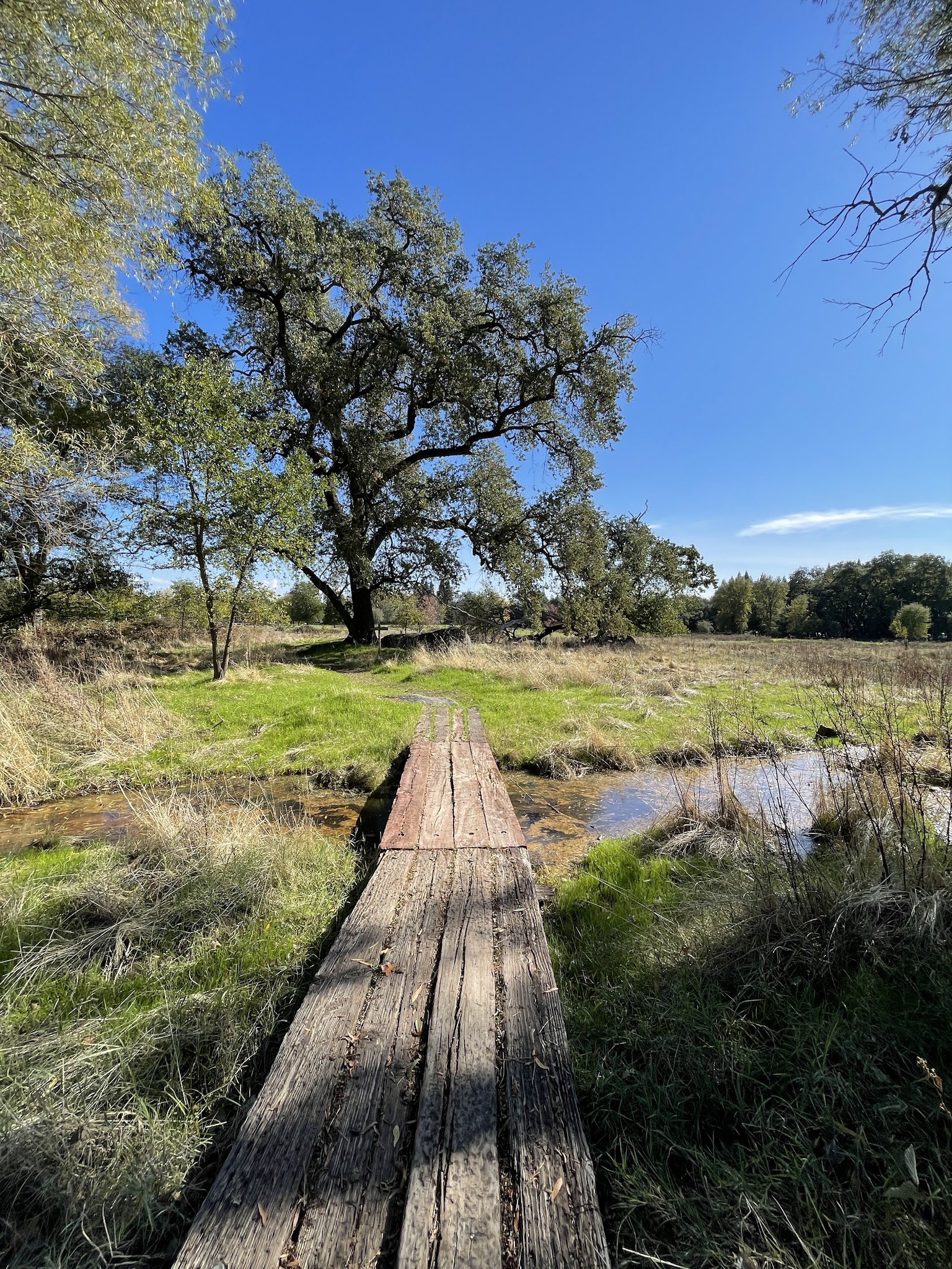 Traylor Ranch Bird Sanctuary And Nature Reserve - Penryn, CA
